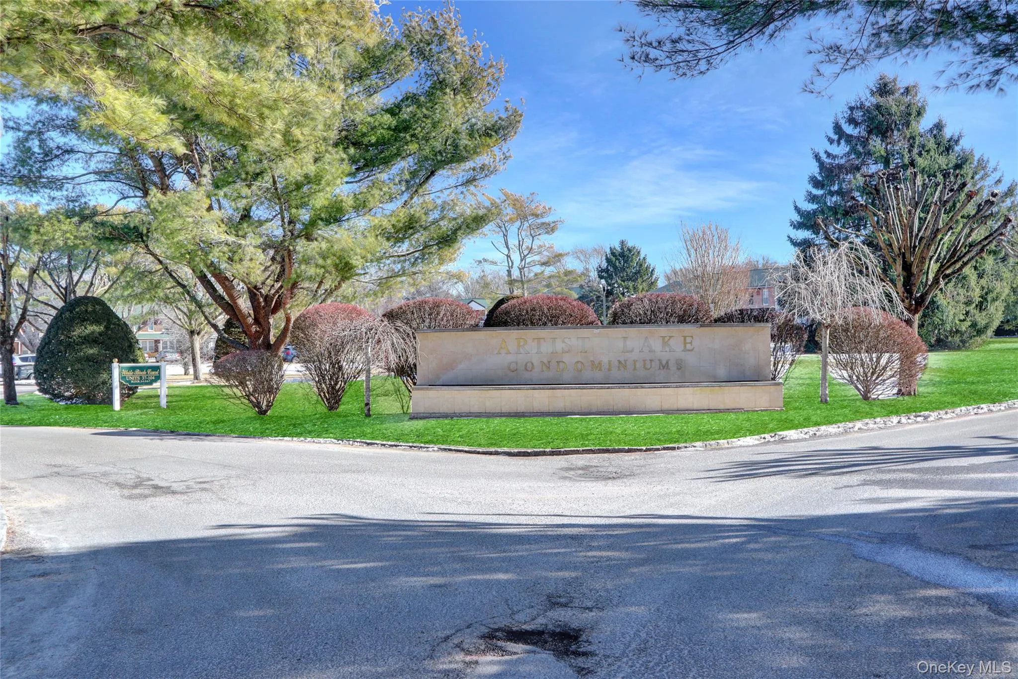 View of asphalt street with curbs View of asphalt street with curbs