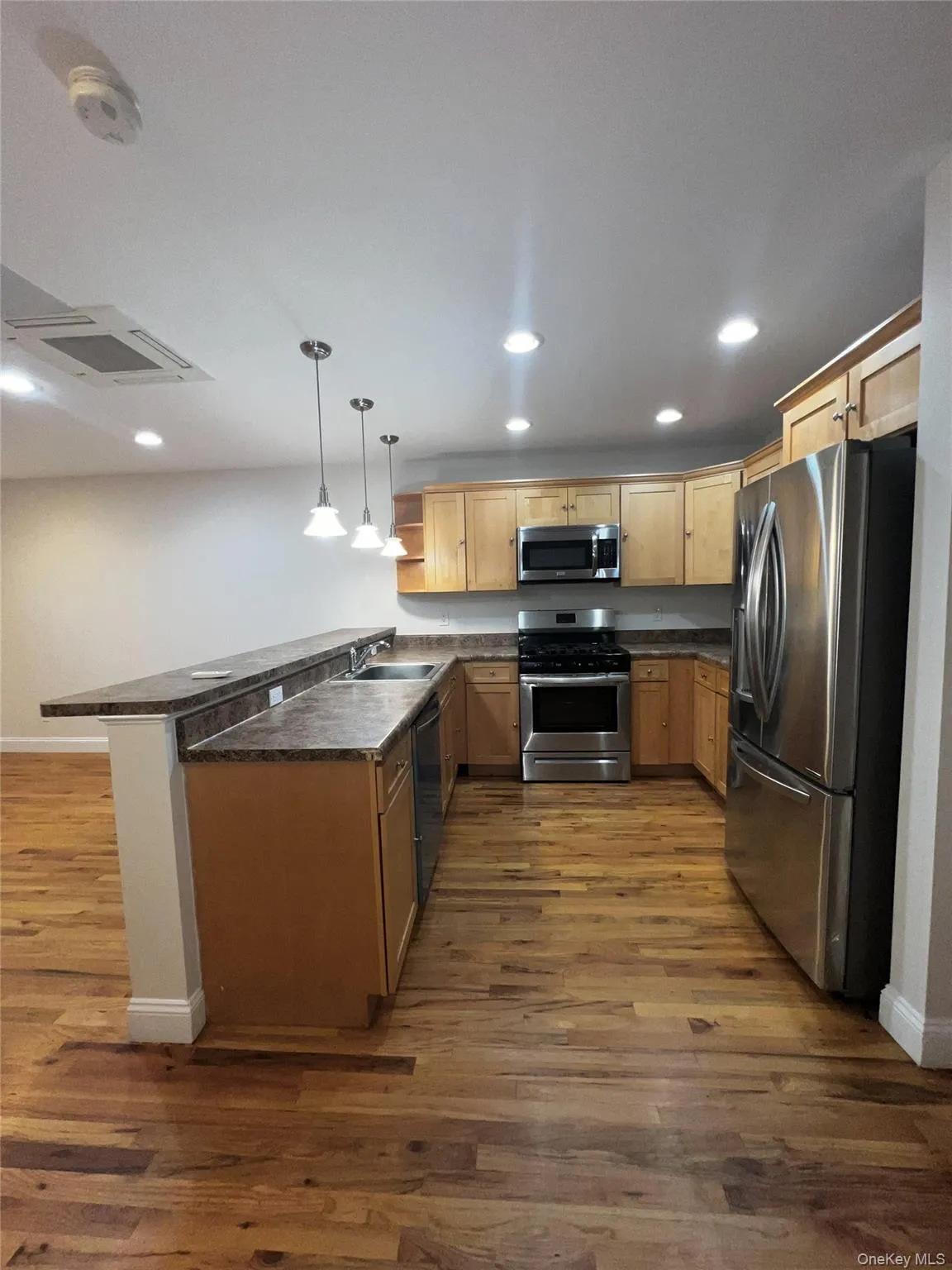 Kitchen featuring a peninsula, appliances with stainless steel finishes, recessed lighting, decorative light fixtures, and dark wood-style floors Kitchen featuring a peninsula, appliances with stainless steel finishes, recessed lighting, decorative light fixtures, and dark wood-style floors