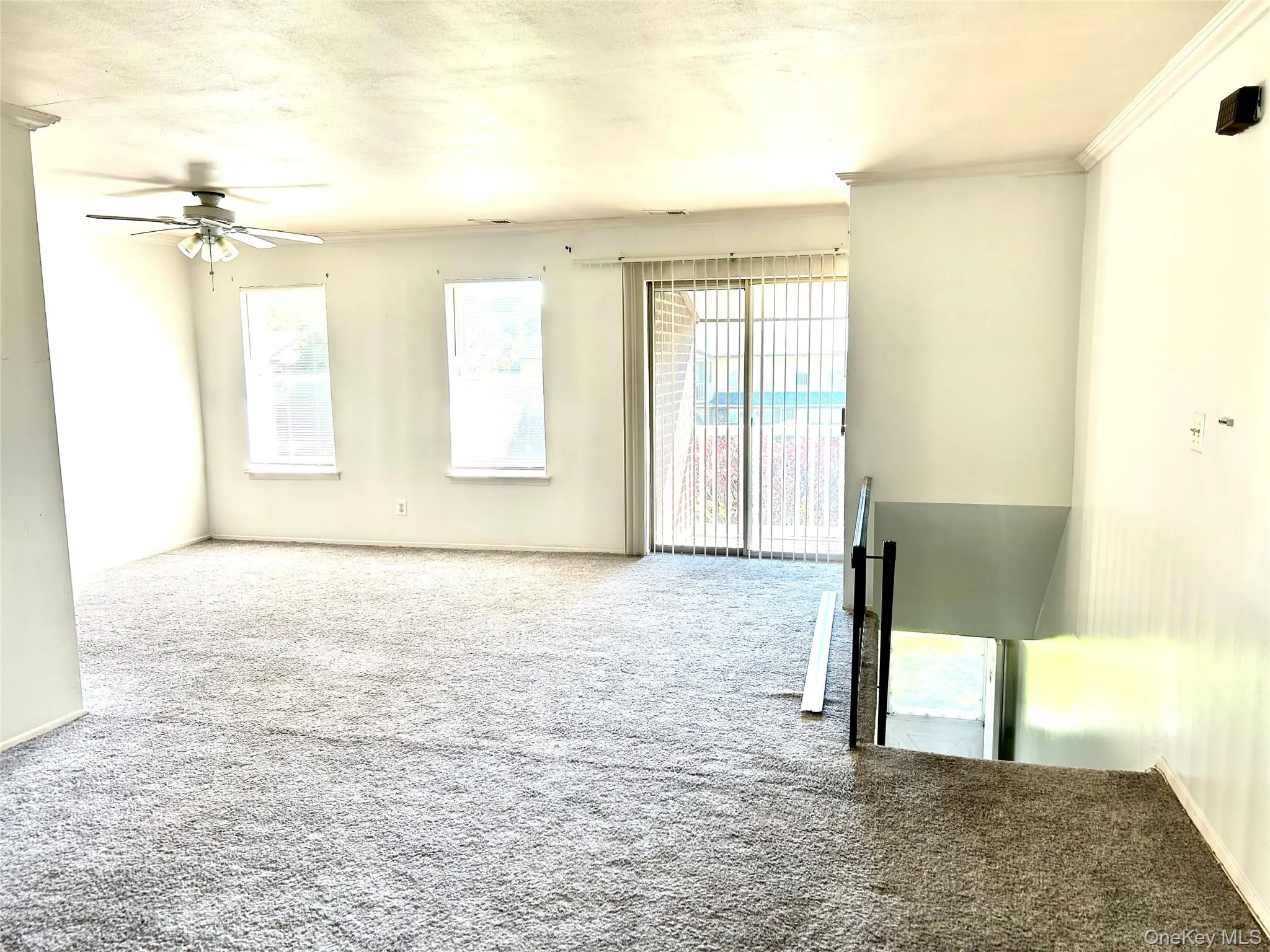 Carpeted empty room with ceiling fan and baseboards Carpeted empty room with ceiling fan and baseboards