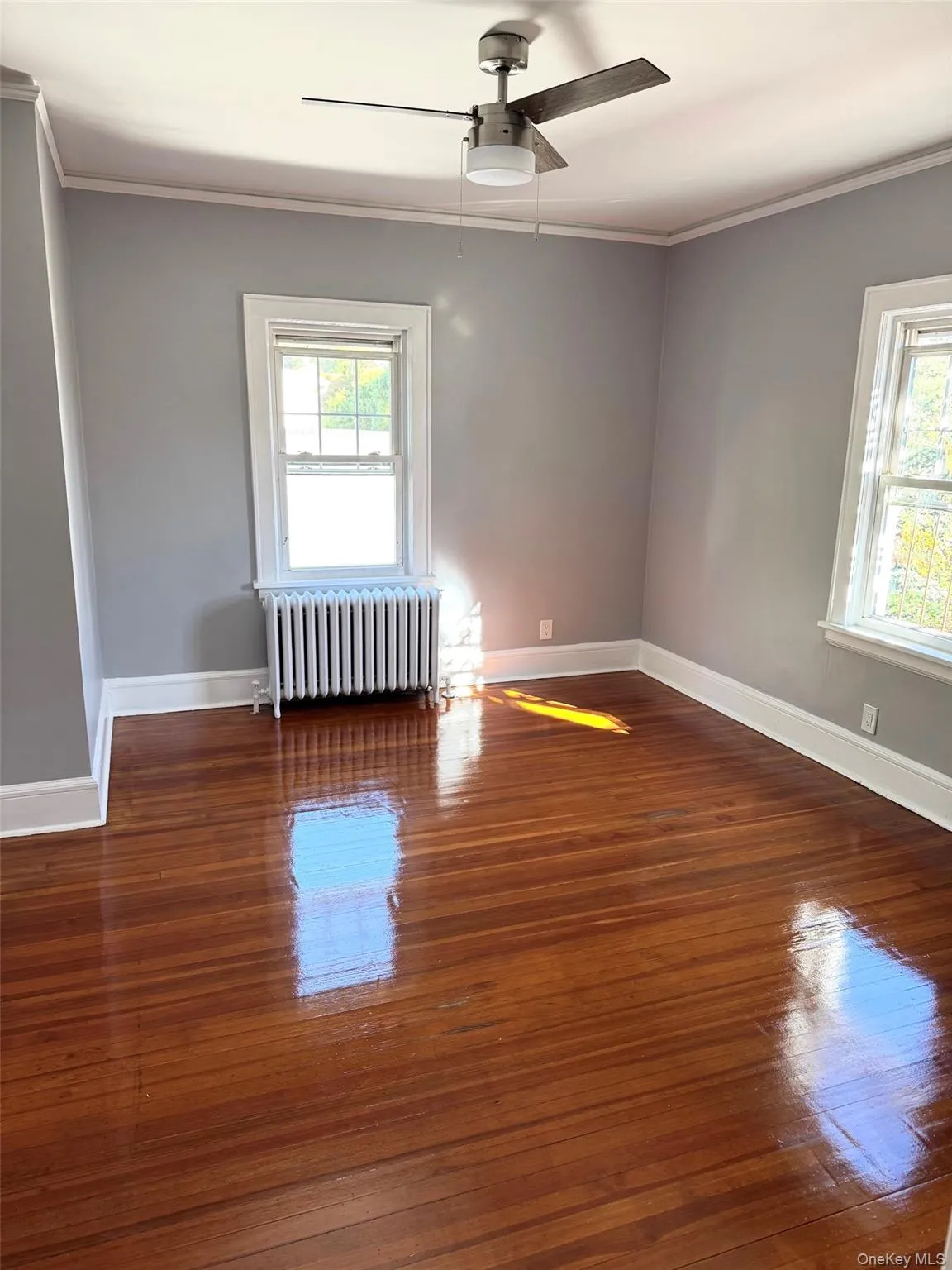 Empty room featuring dark wood finished floors, radiator, ornamental molding, and healthy amount of natural light Empty room featuring dark wood finished floors, radiator, ornamental molding, and healthy amount of natural light