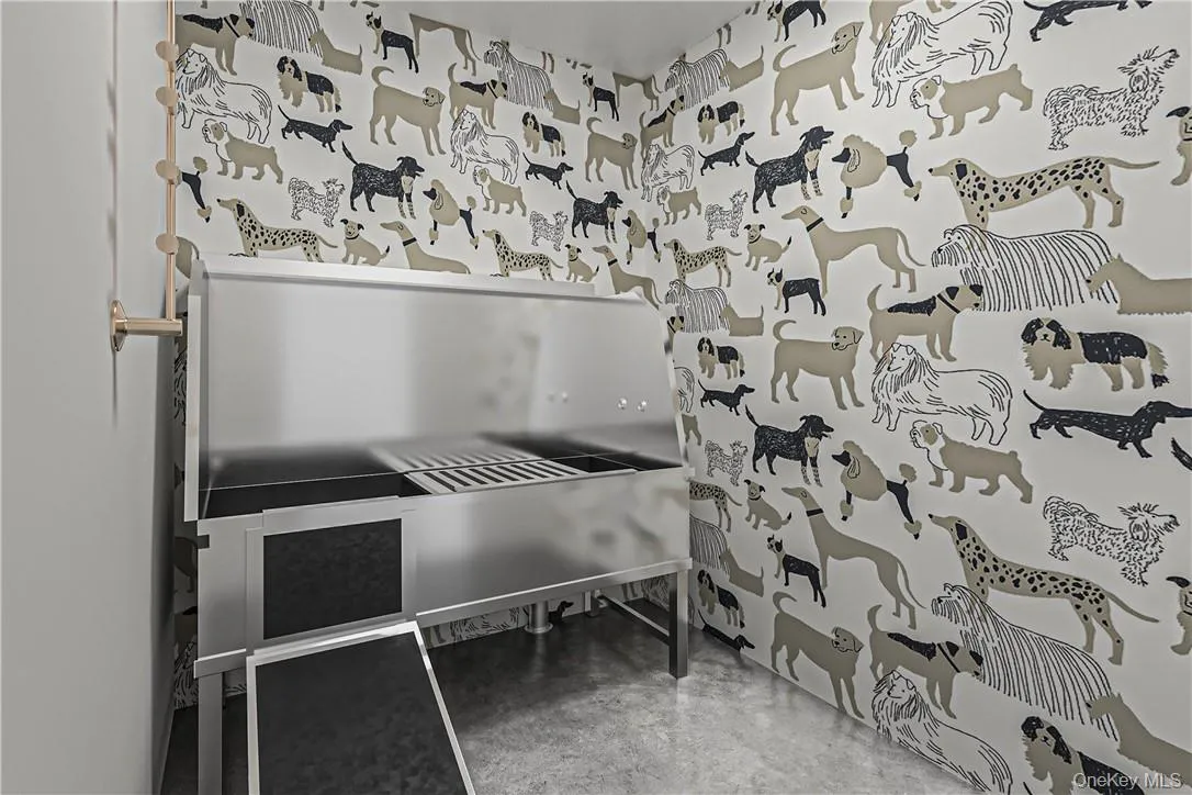 pet spa pet spa