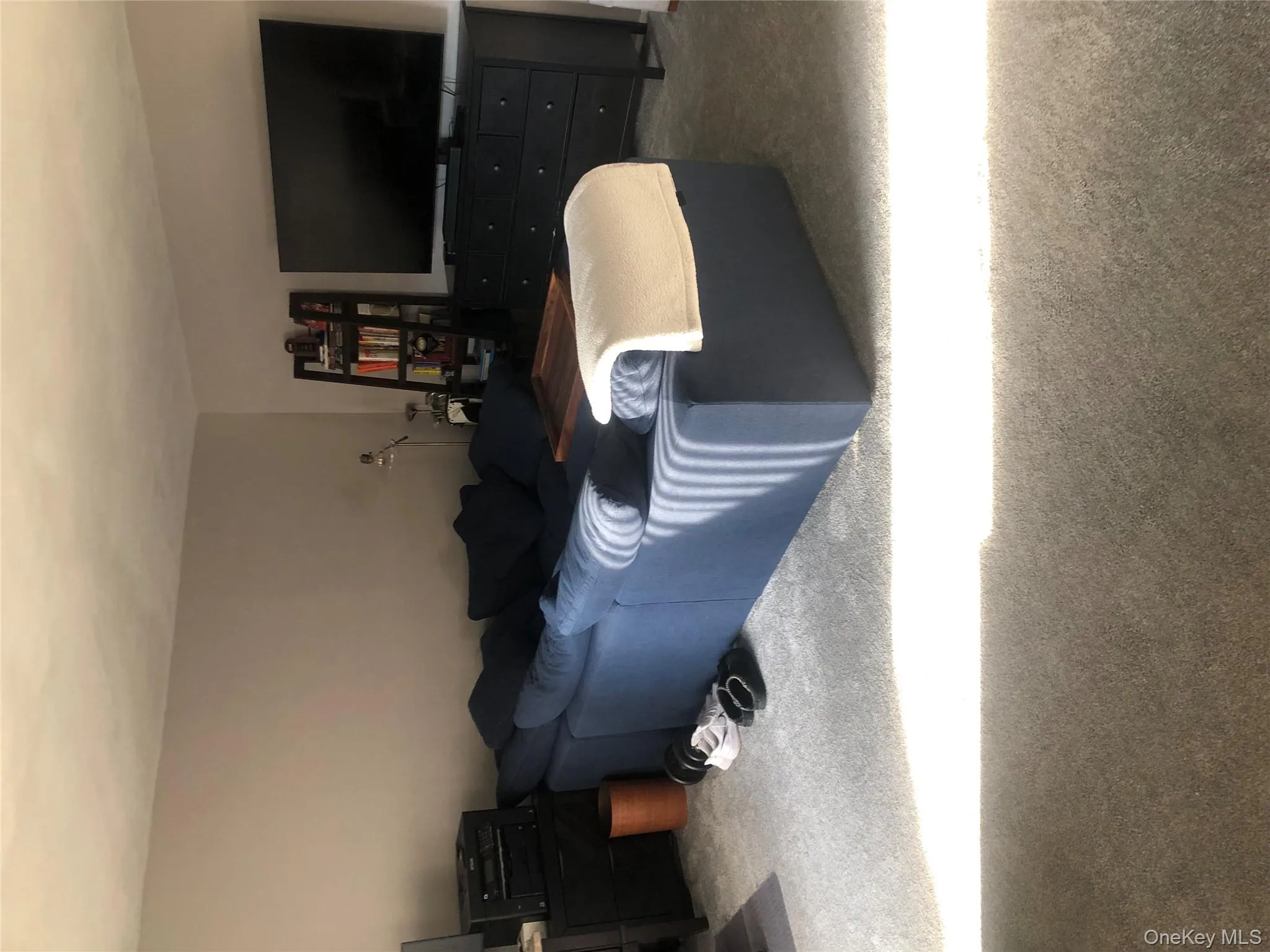 View of carpeted living room View of carpeted living room