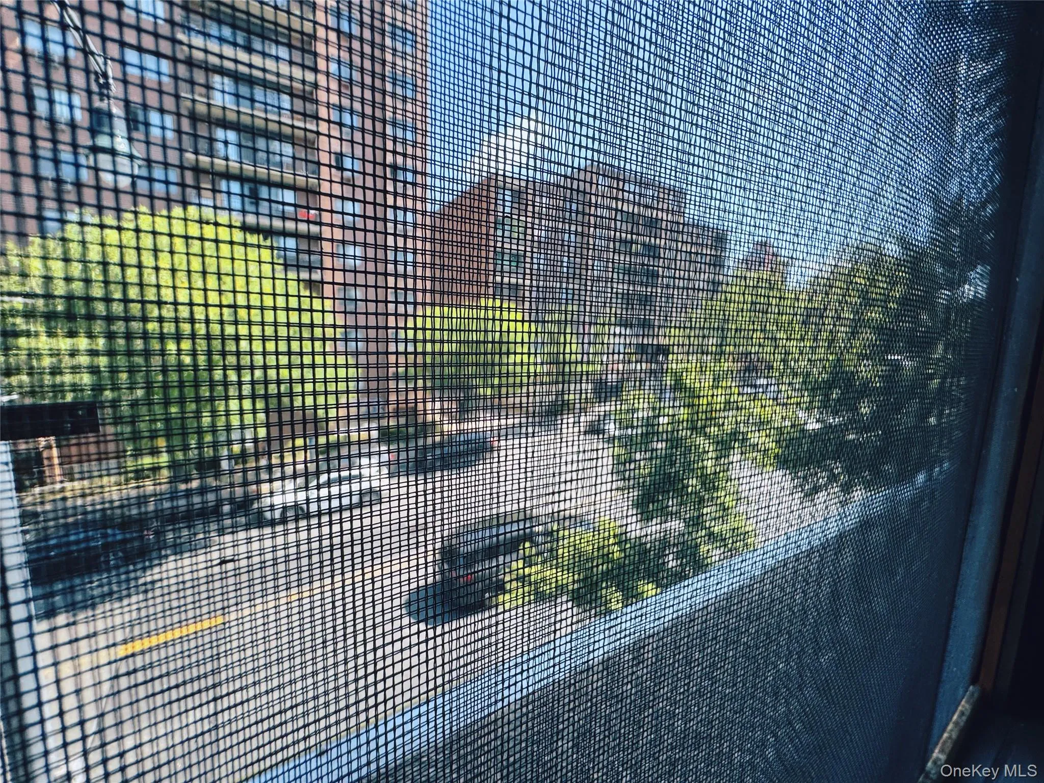 36-24 union, New York, NY, ,Commercial Lease,Idx,union,0,925569 36-24 union, New York, NY, ,Commercial Lease,Idx,union,0,925569