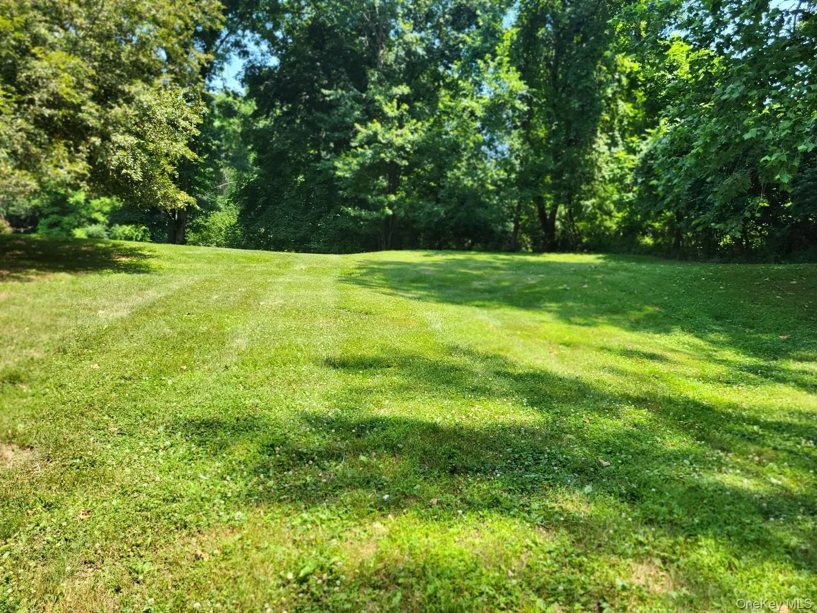 Beautiful yard offers options for pool , gardens and more~ Beautiful yard offers options for pool , gardens and more~