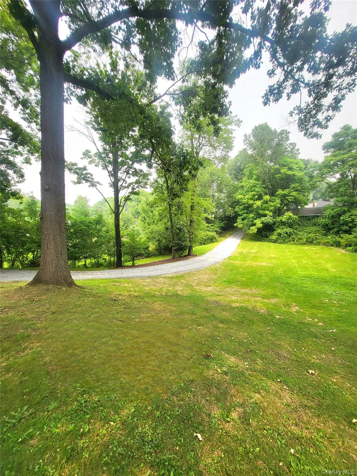 Your driveway to privacy! Your driveway to privacy!