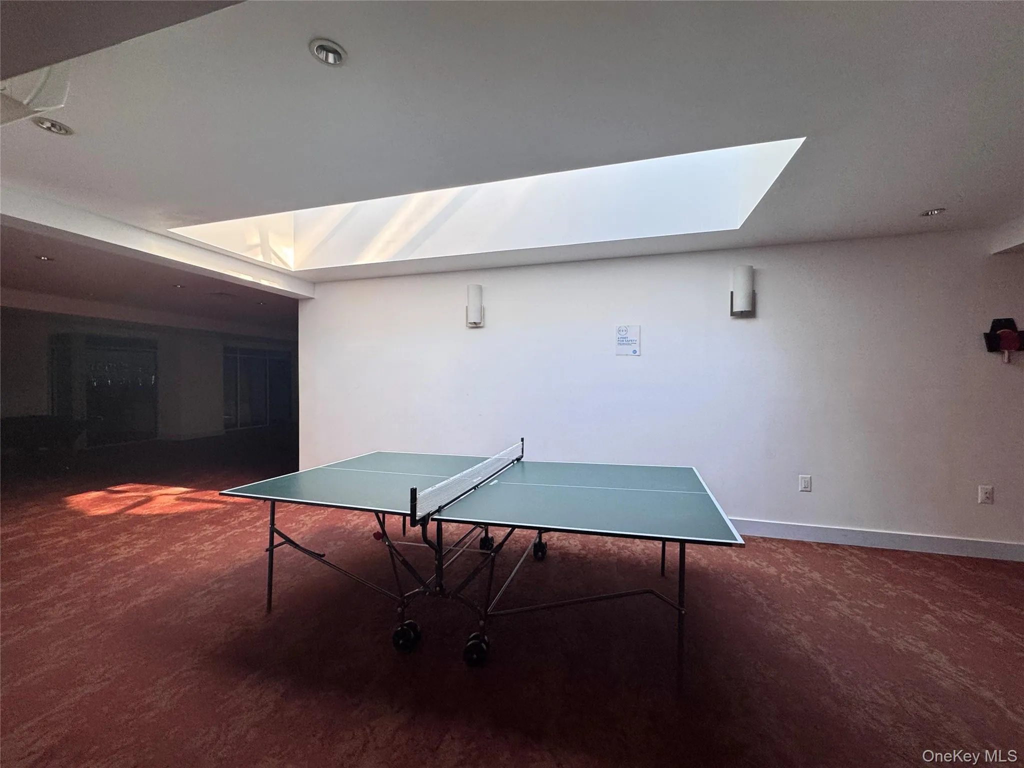 Recreation room featuring a skylight and dark carpet Recreation room featuring a skylight and dark carpet