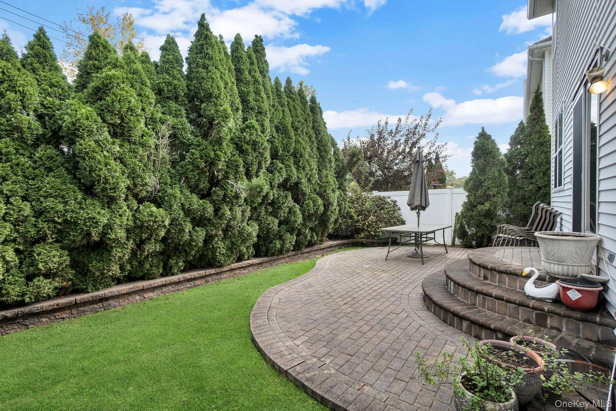 View of yard with a patio area View of yard with a patio area