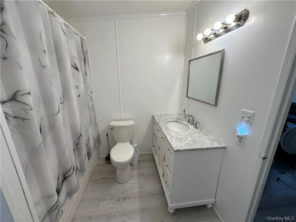 Bathroom with wood-type flooring, crown molding, vanity, and toilet Bathroom with wood-type flooring, crown molding, vanity, and toilet