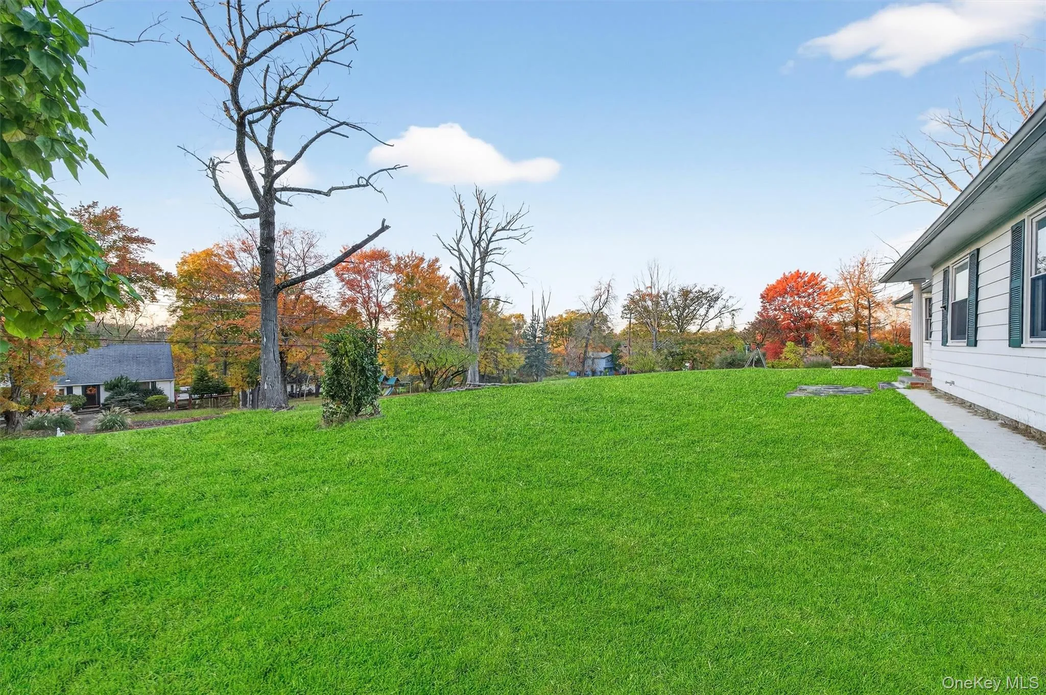 View of green lawn View of green lawn