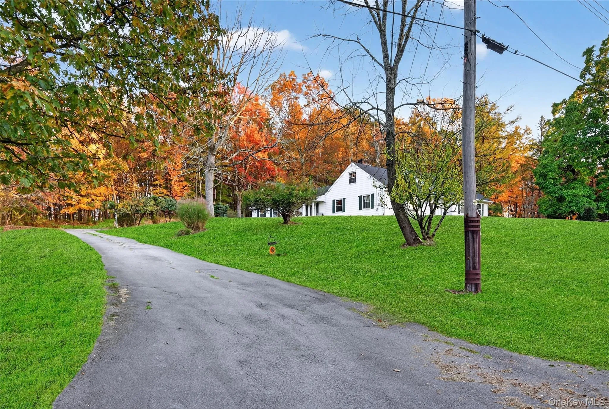 View of front of property featuring a front yard and view of scattered trees View of front of property featuring a front yard and view of scattered trees