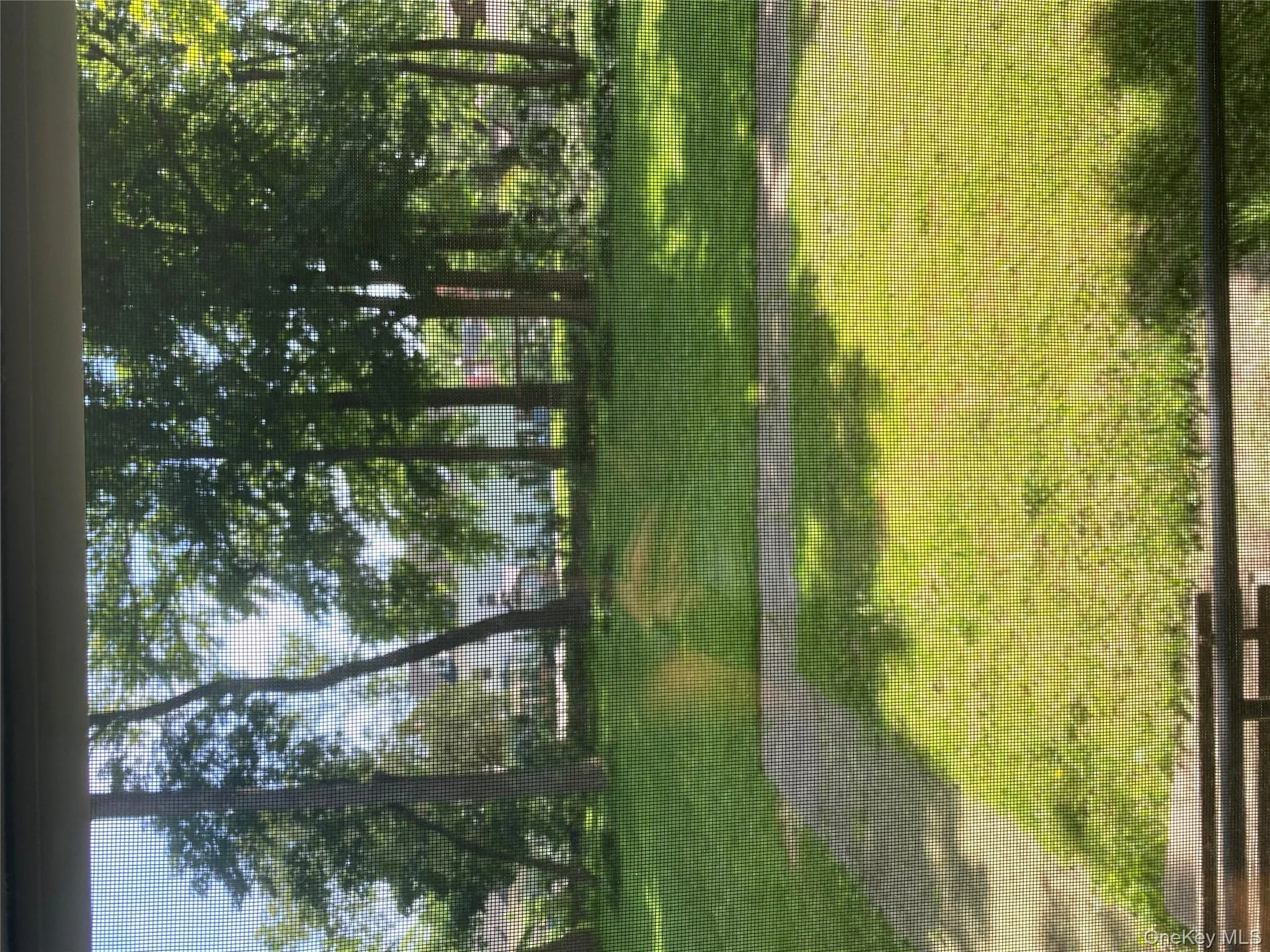 View of yard View of yard