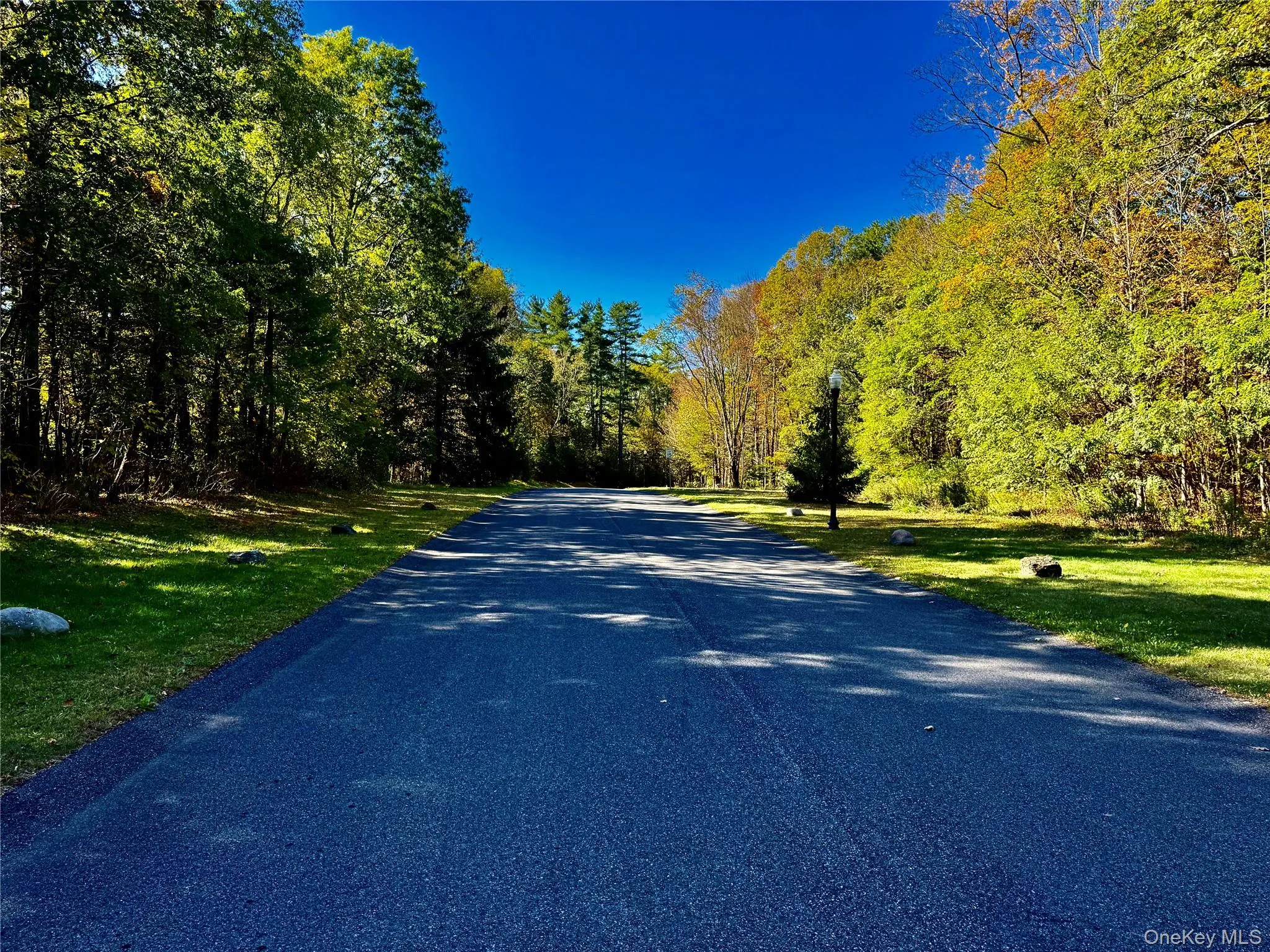View of asphalt road featuring a wooded view and street lights View of asphalt road featuring a wooded view and street lights