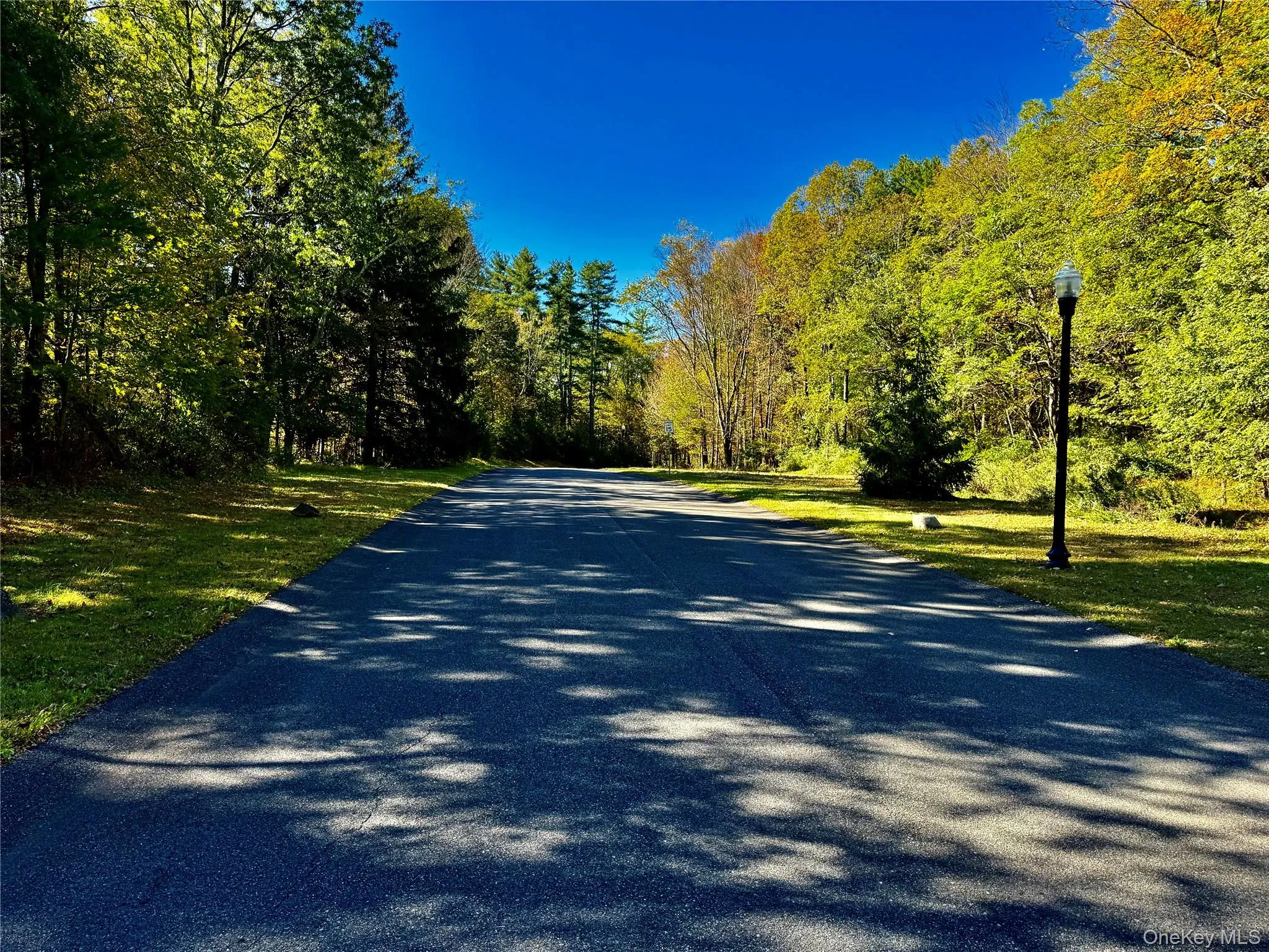 View of asphalt road with street lighting and a view of trees View of asphalt road with street lighting and a view of trees