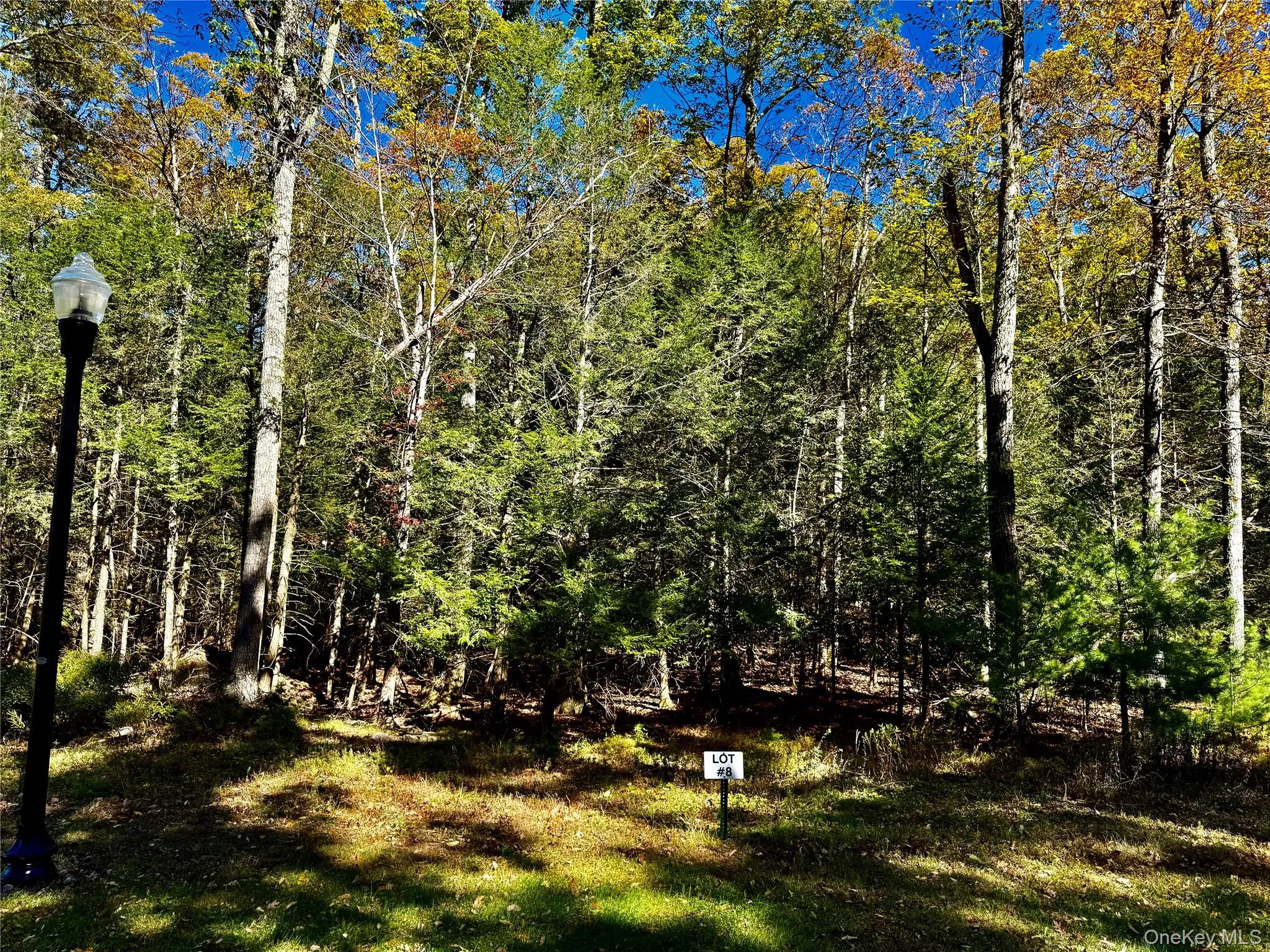 Lot 8-78 Falling Waters Drive Lot 8-78 Falling Waters Drive