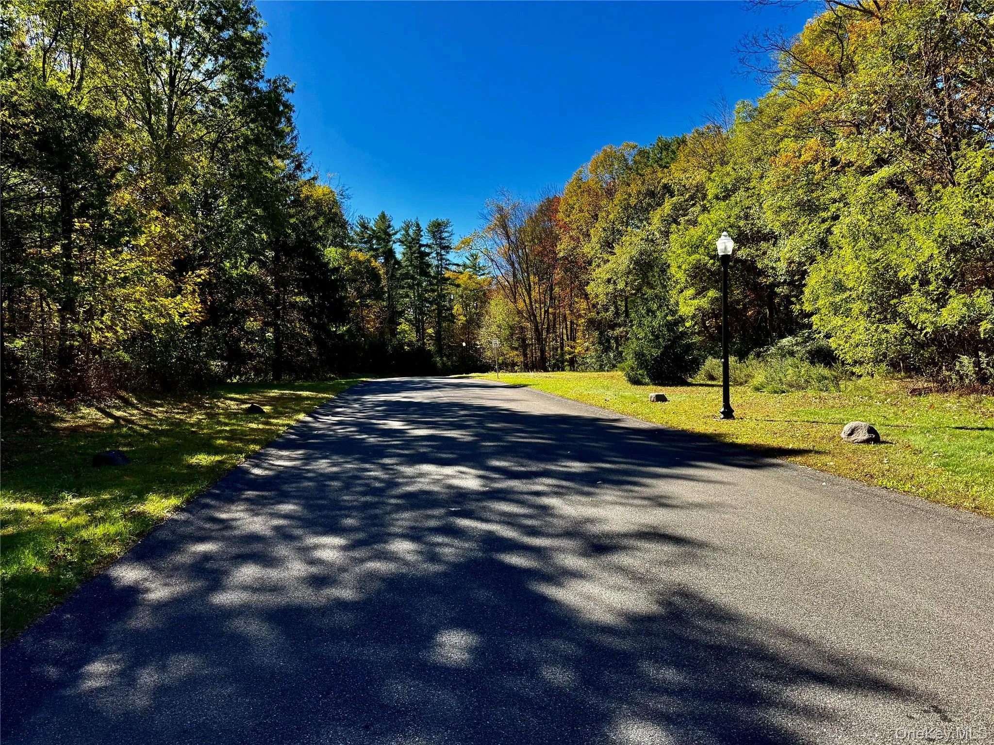 View of asphalt street featuring street lights and a forest view View of asphalt street featuring street lights and a forest view