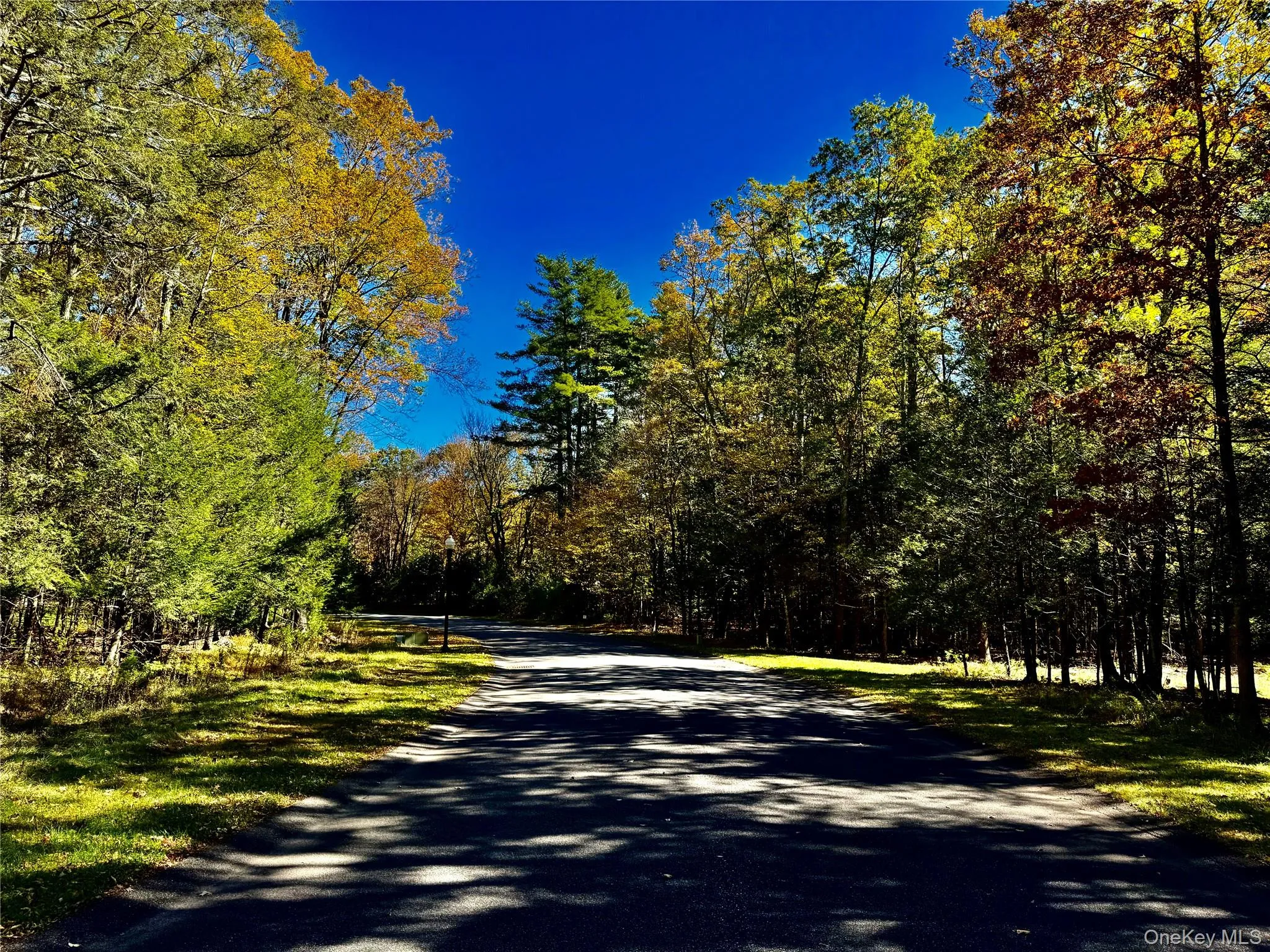 View of asphalt road with a wooded view View of asphalt road with a wooded view