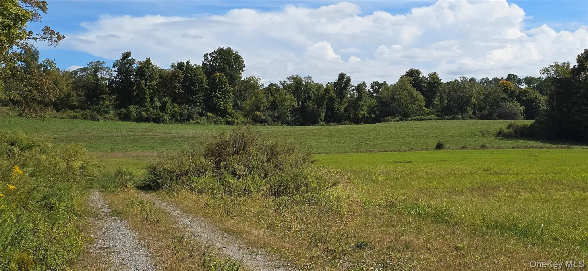 View of local wilderness with rural landscape View of local wilderness with rural landscape