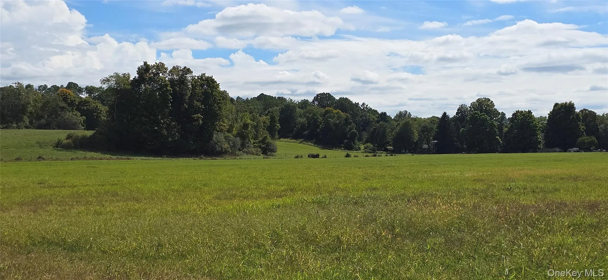 View of tree filled area with a view of countryside View of tree filled area with a view of countryside