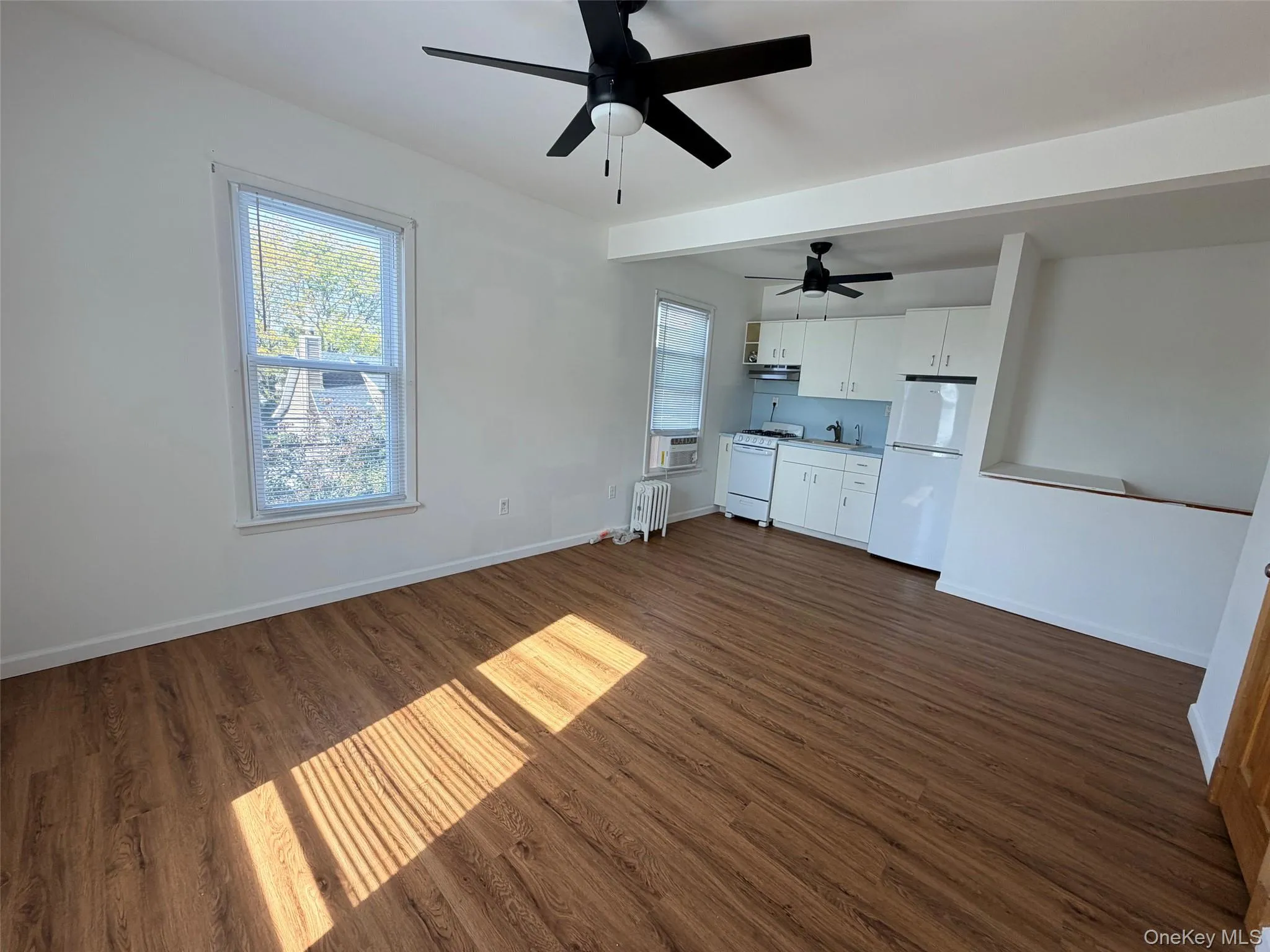 Unfurnished living room featuring plenty of natural light, dark wood-style flooring, and radiator Unfurnished living room featuring plenty of natural light, dark wood-style flooring, and radiator
