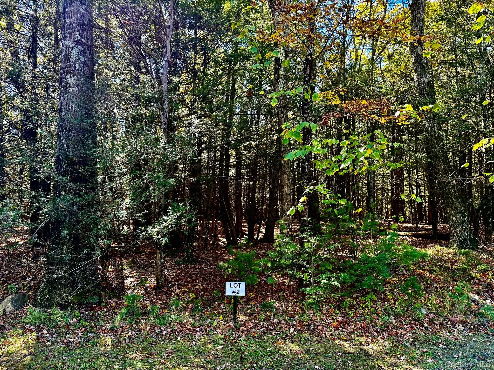 Lot 267 Falling Waters Drive Lot 267 Falling Waters Drive