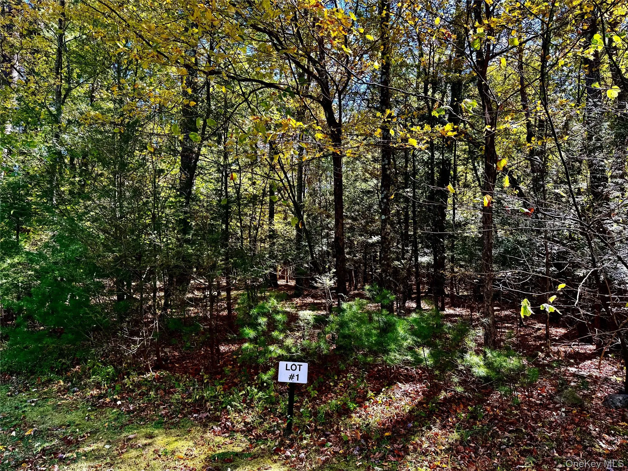 Lot 149 Falling Waters Drive Lot 149 Falling Waters Drive