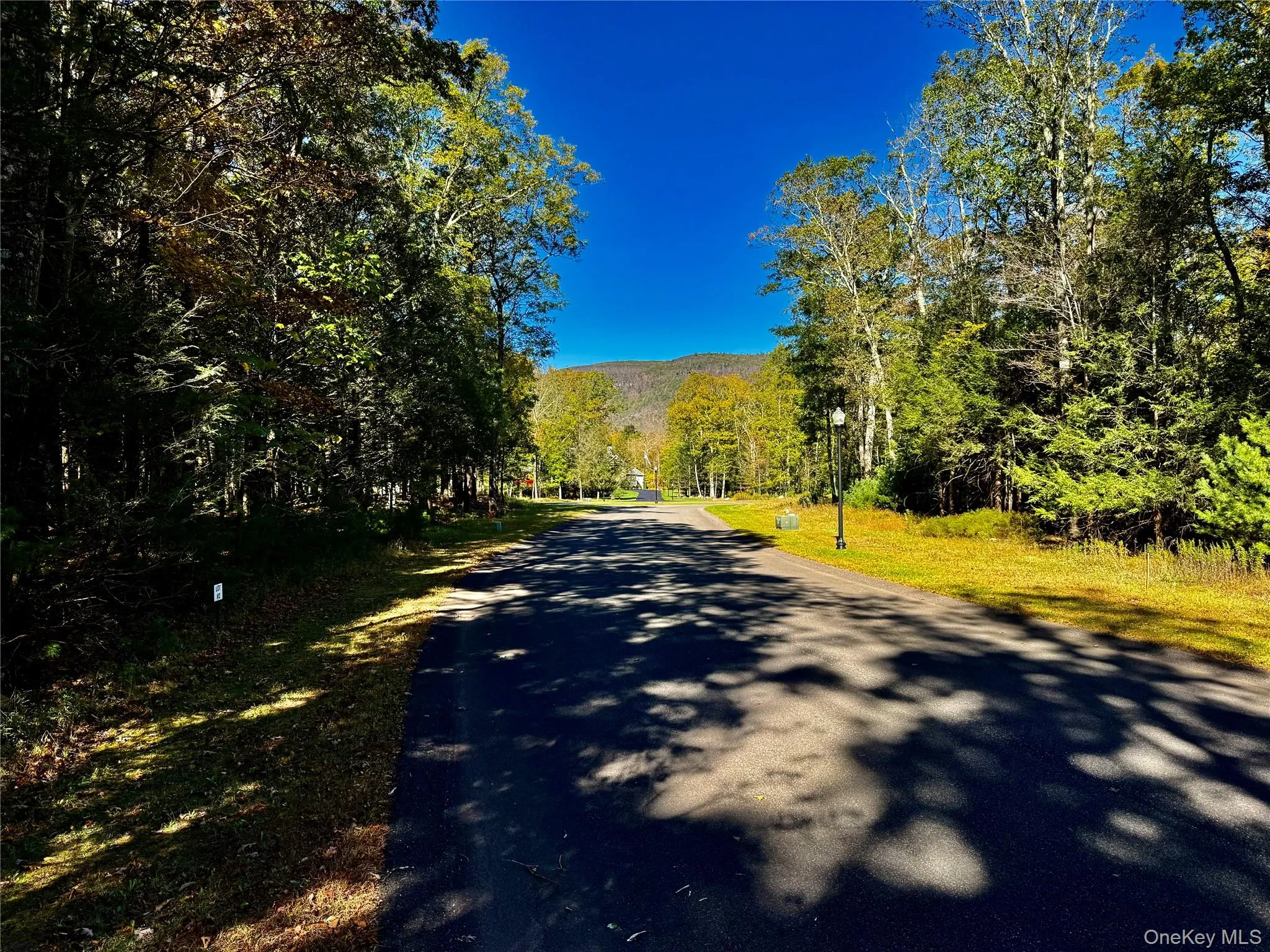 View of asphalt street with a wooded view View of asphalt street with a wooded view