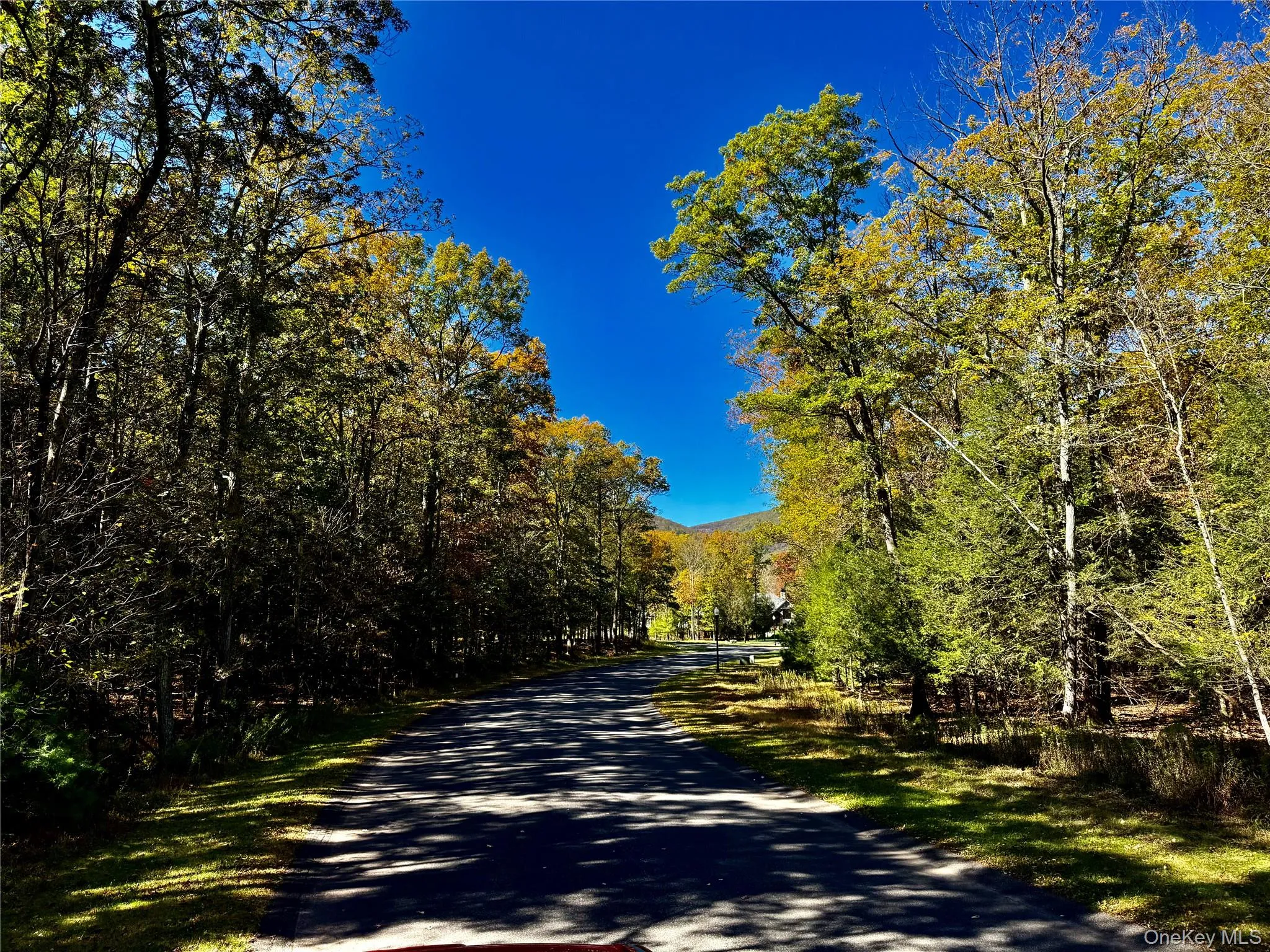 View of asphalt road featuring a wooded view View of asphalt road featuring a wooded view