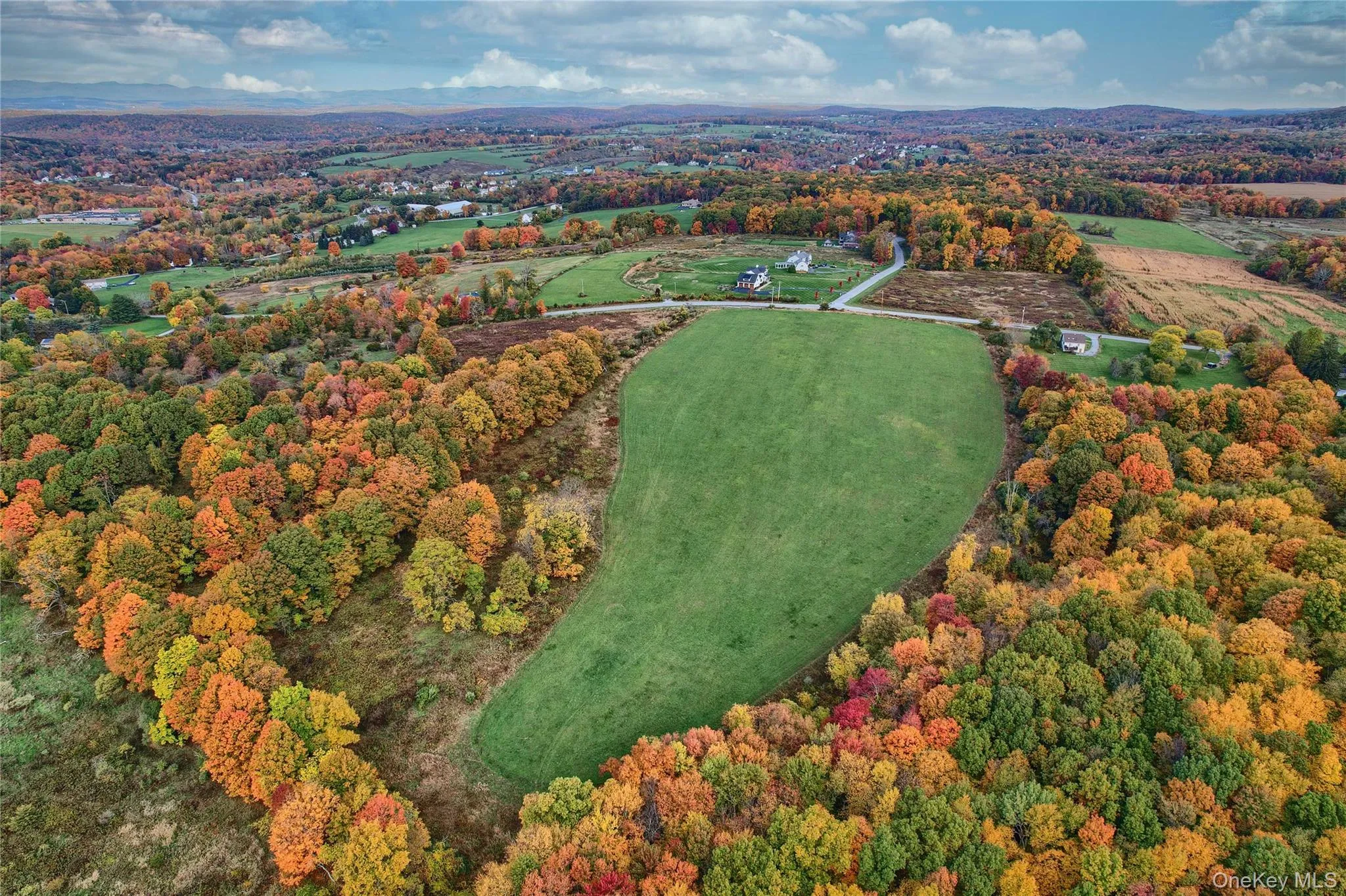 Aerial overview of property's location with a forest Aerial overview of property's location with a forest