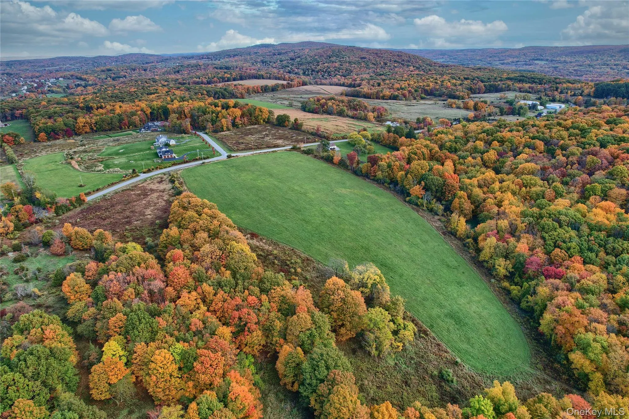 Aerial view of a forest Aerial view of a forest
