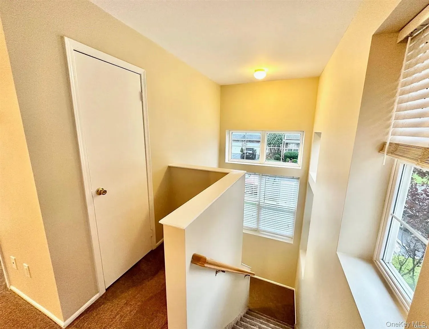 Staircase with carpet and baseboards Staircase with carpet and baseboards