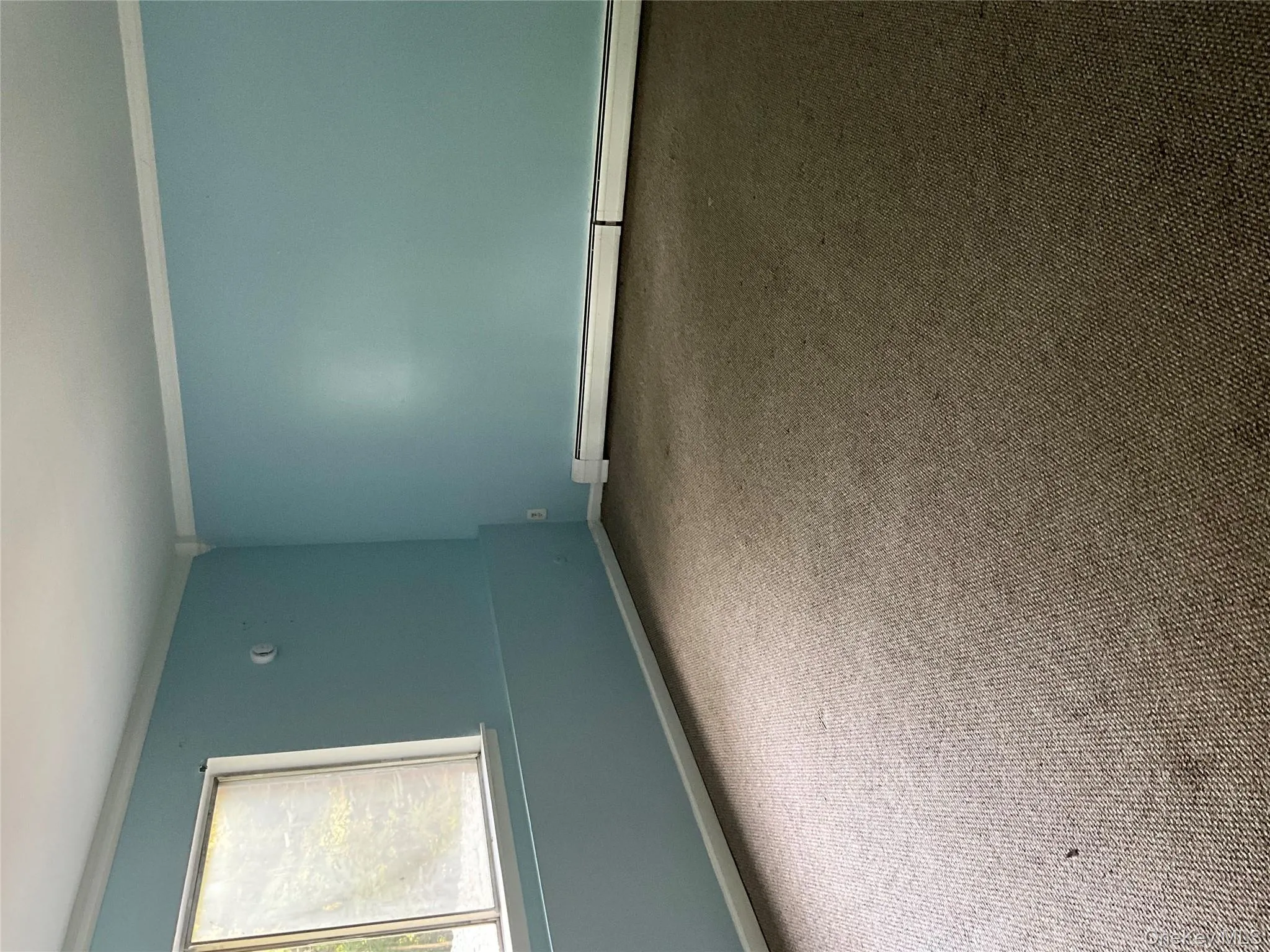 Spare room with crown molding, carpet flooring, and a baseboard radiator Spare room with crown molding, carpet flooring, and a baseboard radiator