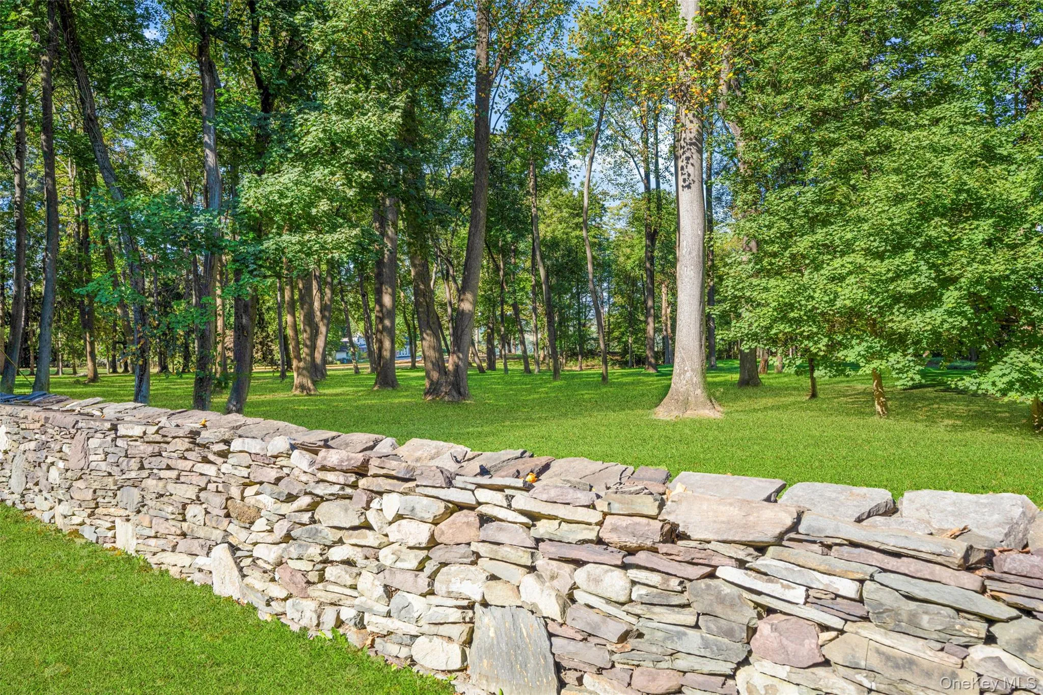 View of grassy yard featuring view of scattered trees View of grassy yard featuring view of scattered trees