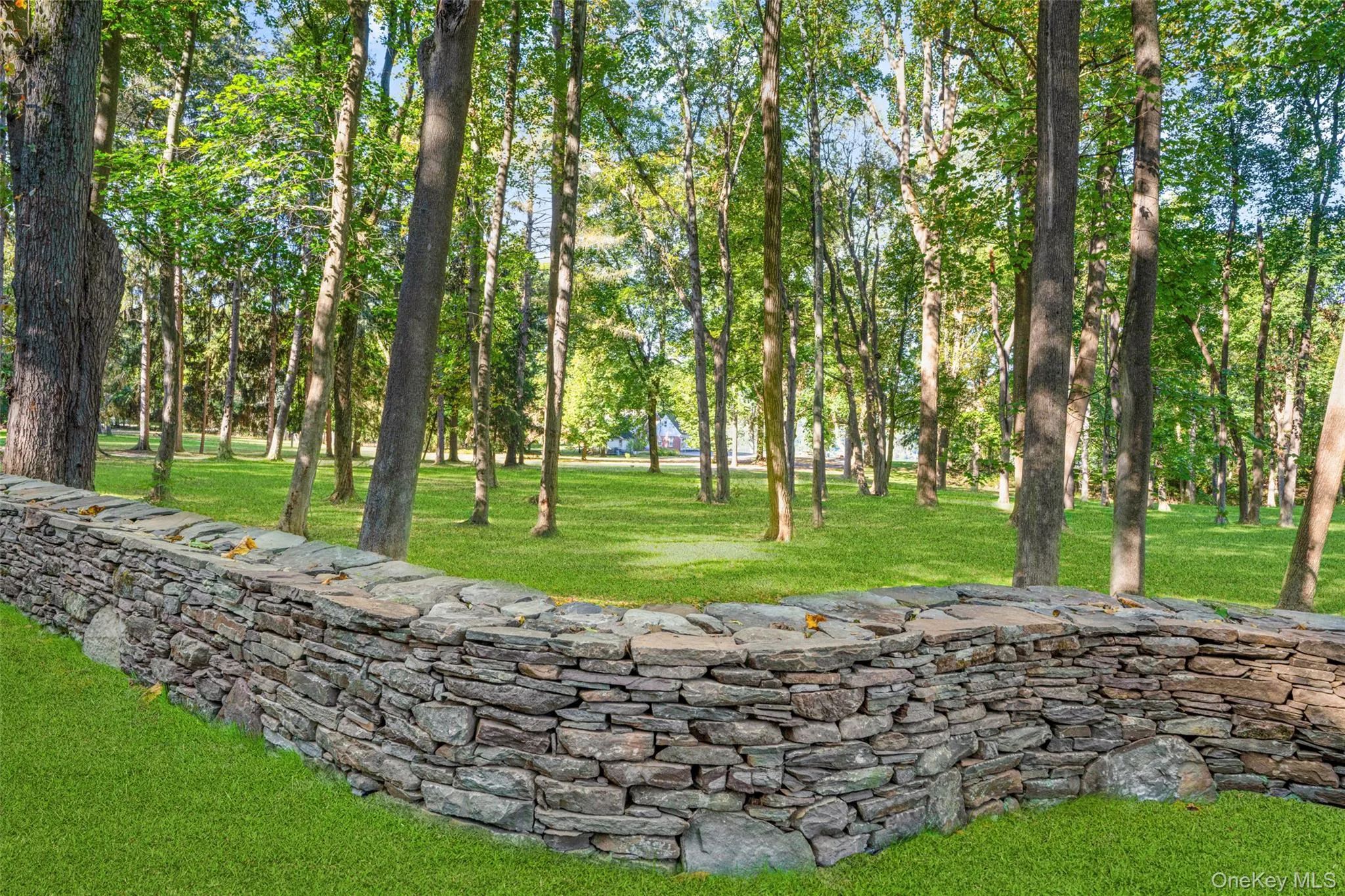 View of grassy yard with view of wooded area View of grassy yard with view of wooded area