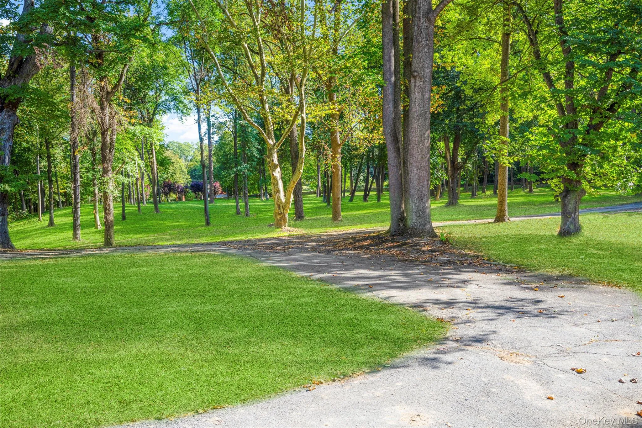 Surrounding community with a lawn and view of wooded area Surrounding community with a lawn and view of wooded area
