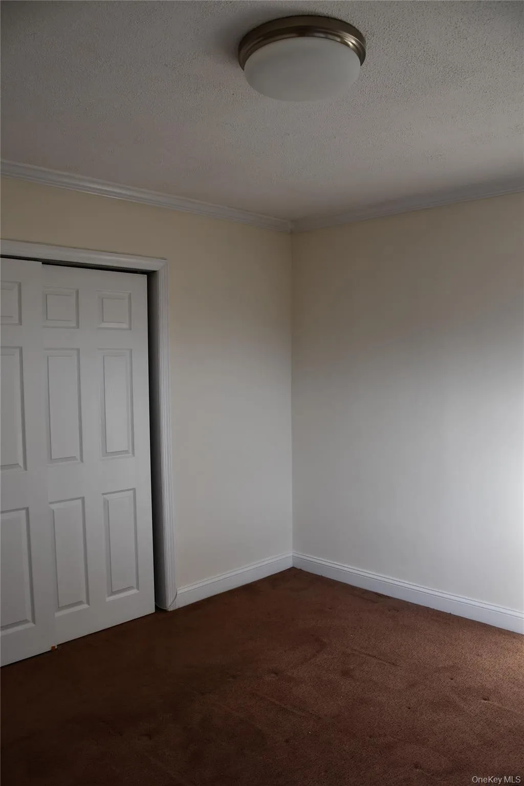 Unfurnished bedroom featuring ornamental molding, a textured ceiling, dark colored carpet, and a closet Unfurnished bedroom featuring ornamental molding, a textured ceiling, dark colored carpet, and a closet