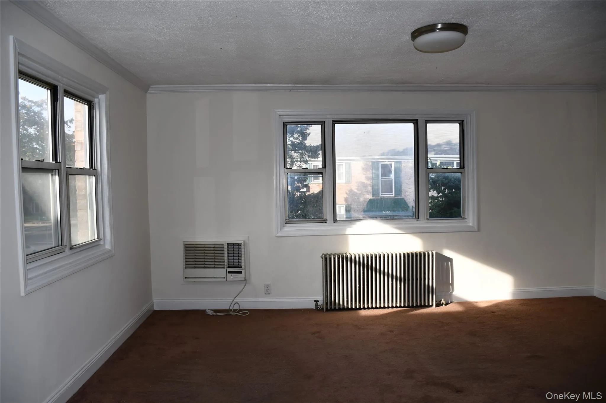 Spare room with carpet flooring, radiator heating unit, a textured ceiling, and ornamental molding Spare room with carpet flooring, radiator heating unit, a textured ceiling, and ornamental molding