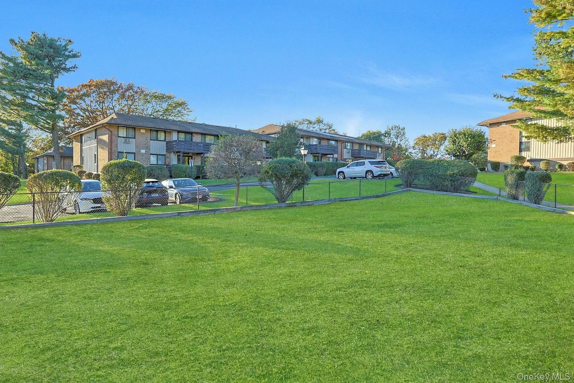 View of yard View of yard