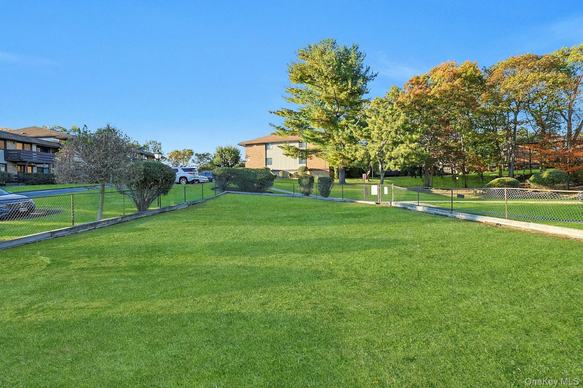 View of yard View of yard