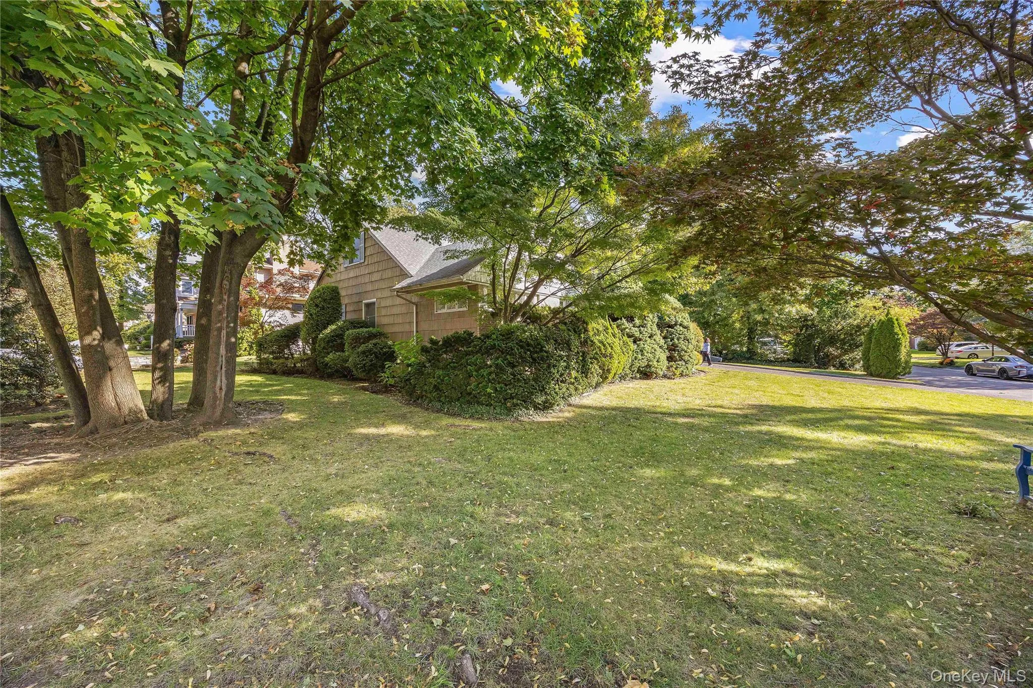View of grassy yard View of grassy yard