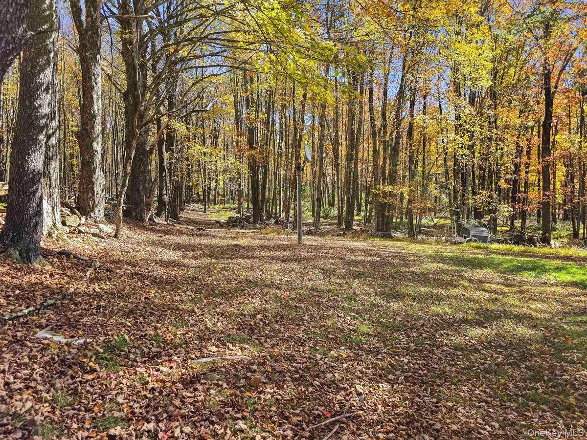 View of yard featuring a forest view View of yard featuring a forest view