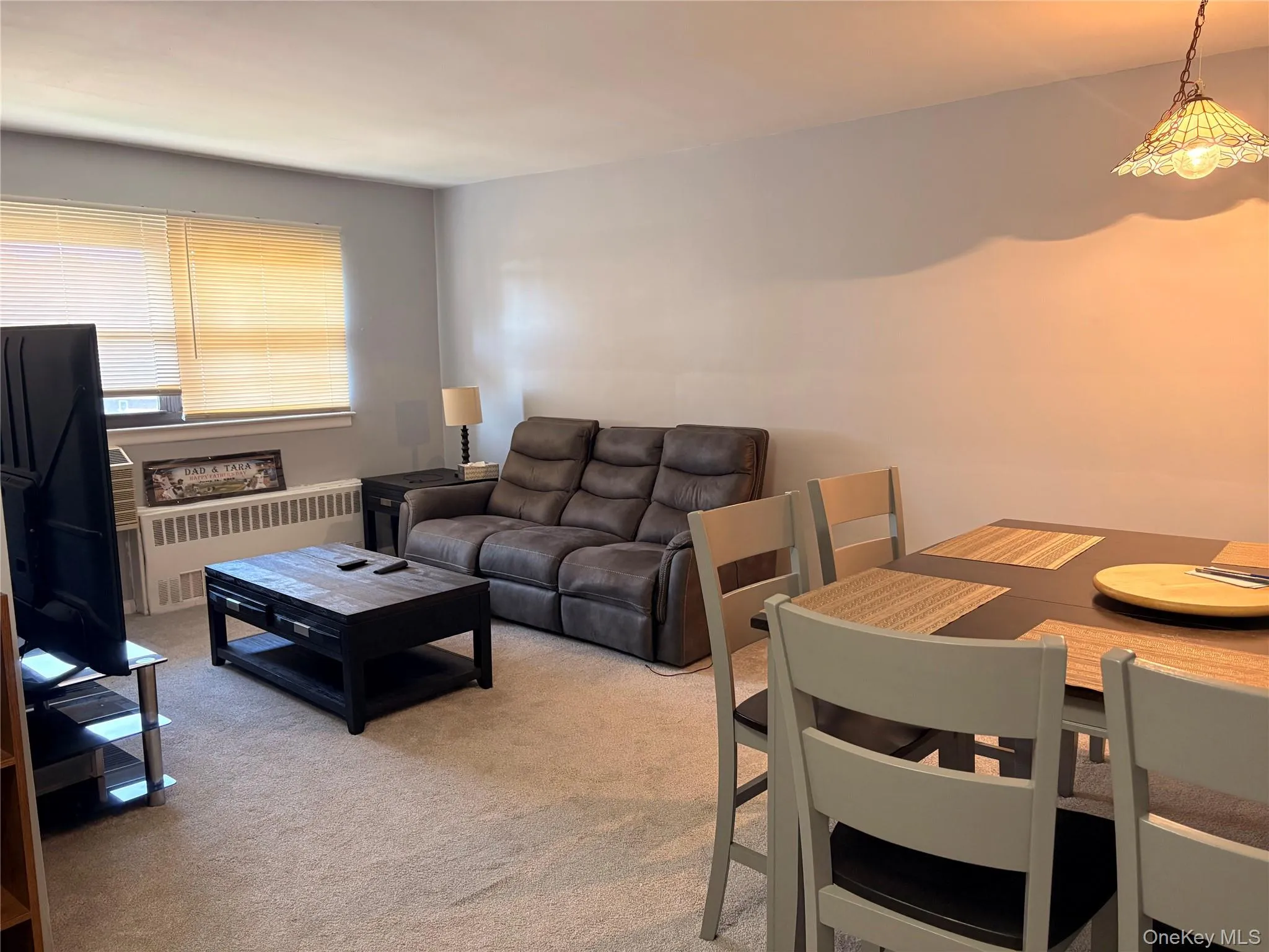 Living Room/Dining Area Living Room/Dining Area