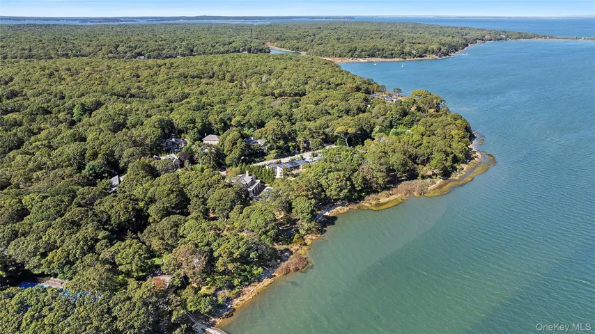 Aerial view of property and surrounding area with a heavily wooded area and a nearby body of water