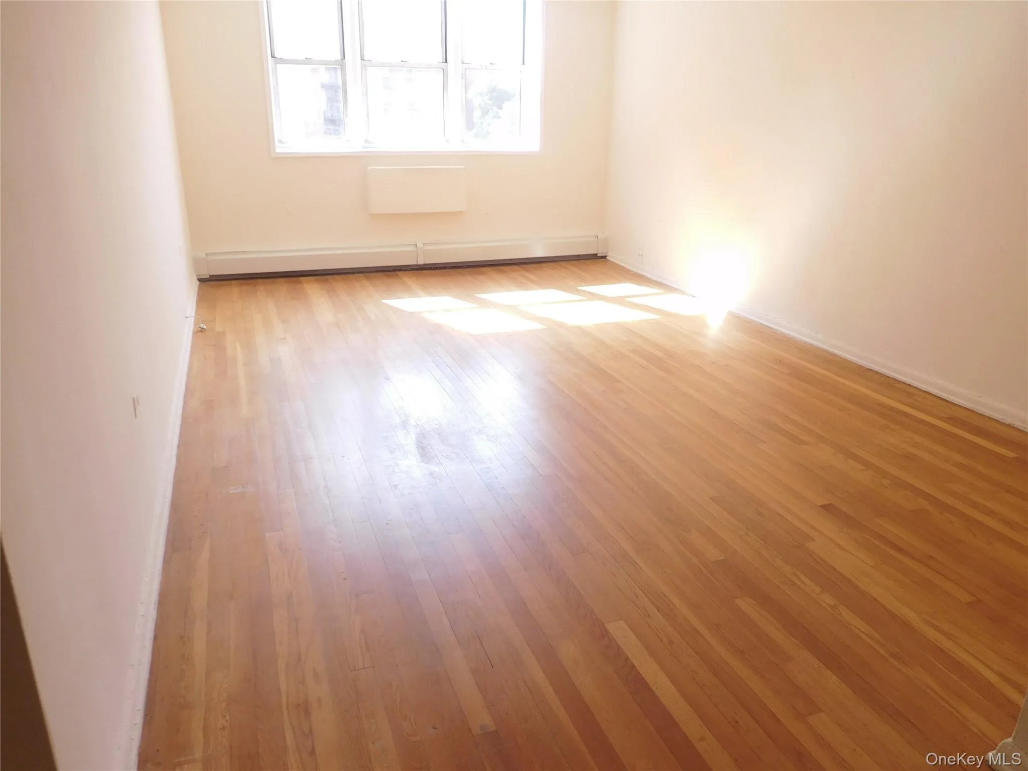 Spare room featuring light wood finished floors and a baseboard radiator Spare room featuring light wood finished floors and a baseboard radiator