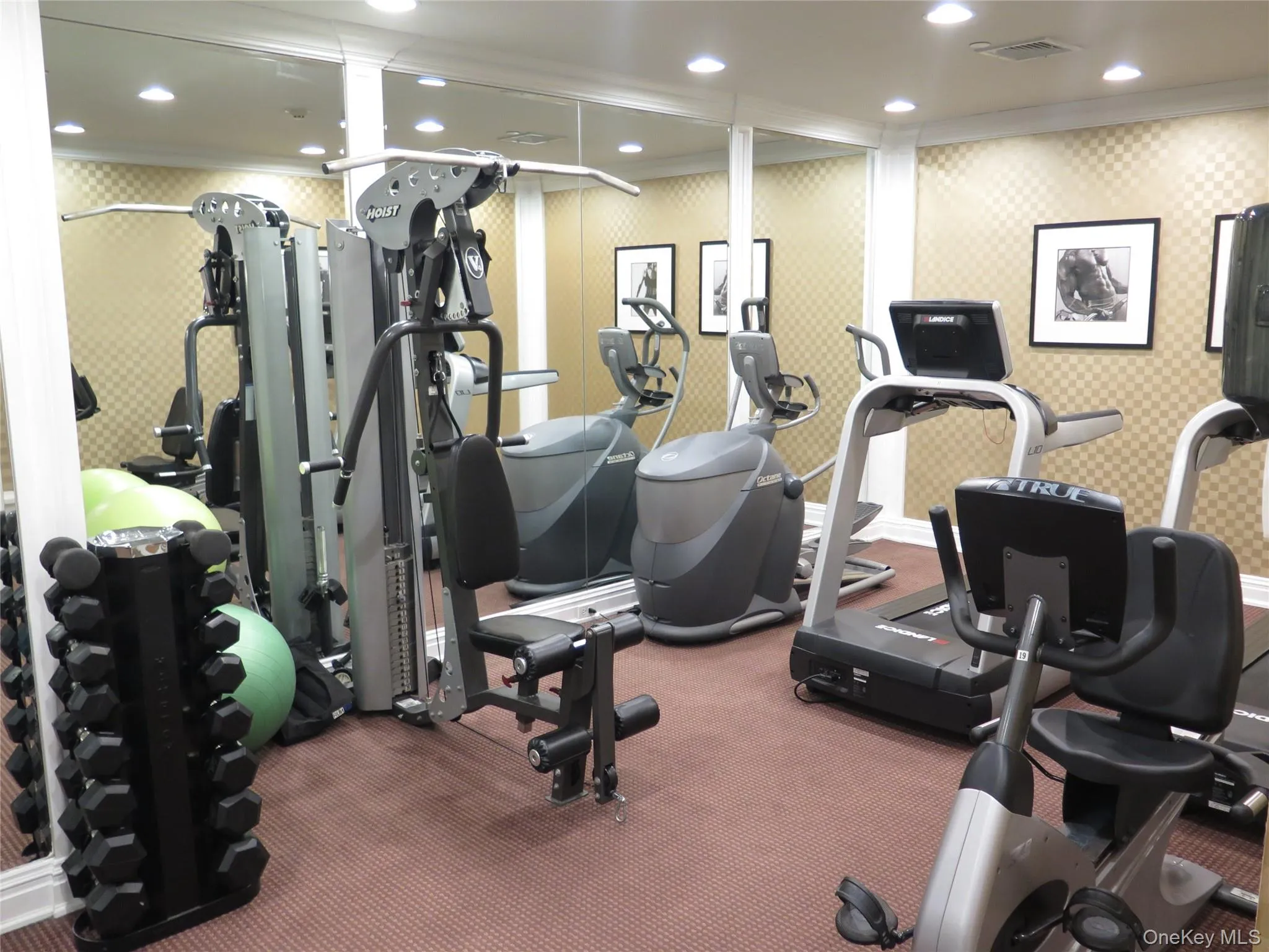Gym with recessed lighting, and ornamental molding Gym with recessed lighting, and ornamental molding