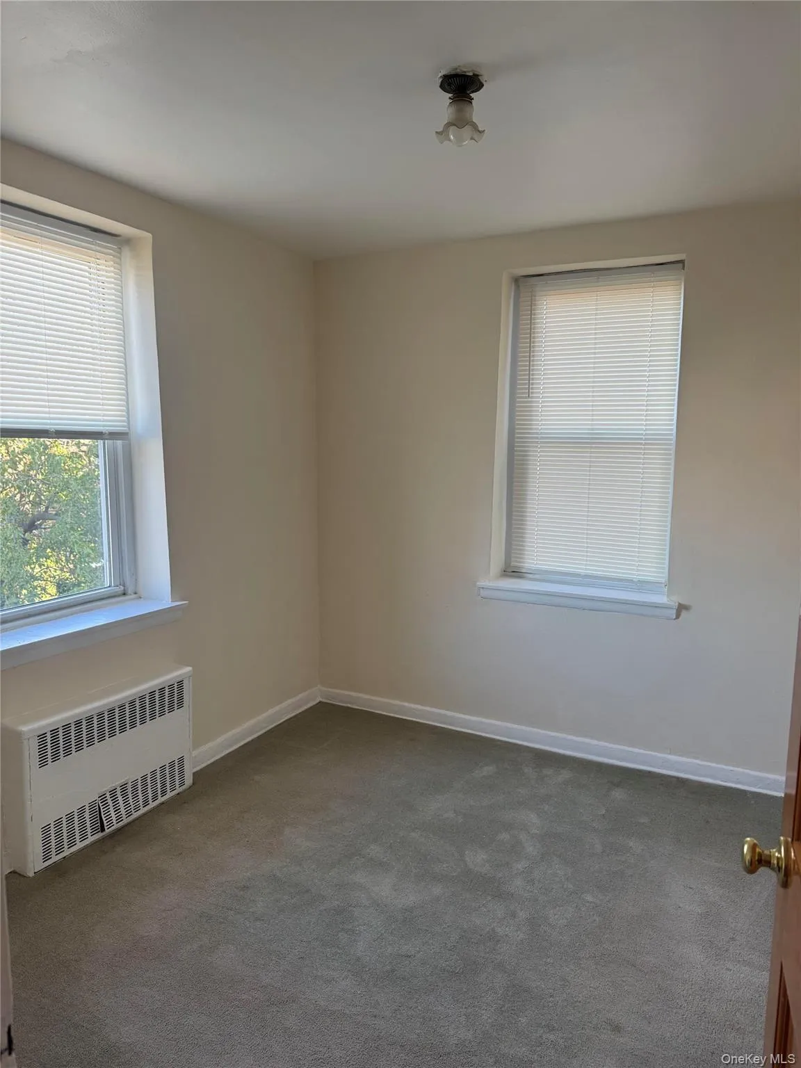 Empty room featuring radiator, healthy amount of natural light, and carpet Empty room featuring radiator, healthy amount of natural light, and carpet