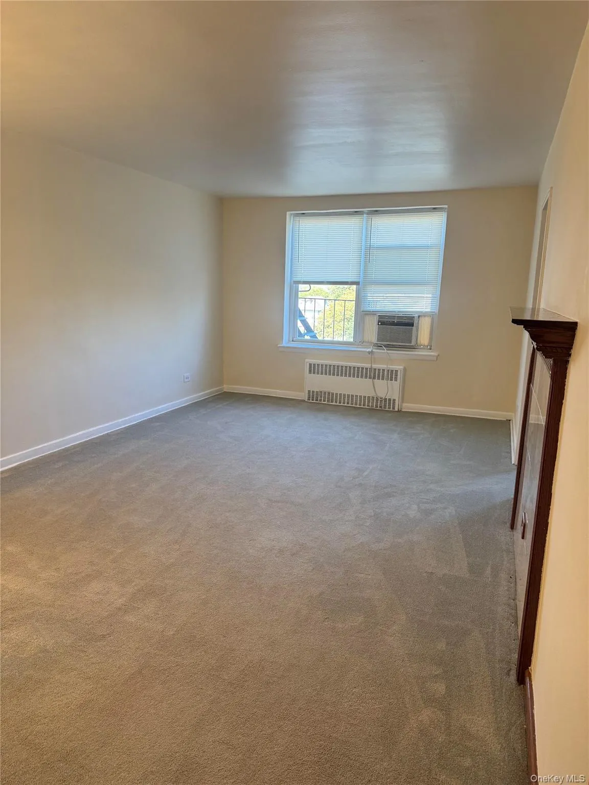Unfurnished room with radiator, light colored carpet, and a fireplace Unfurnished room with radiator, light colored carpet, and a fireplace
