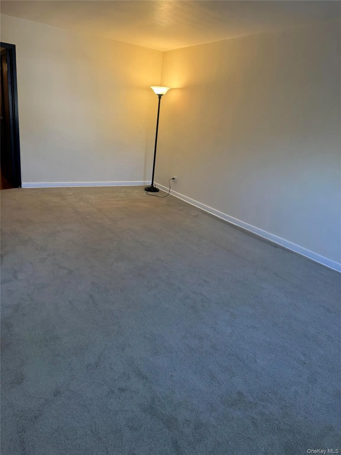 Spare room with carpet and baseboards Spare room with carpet and baseboards