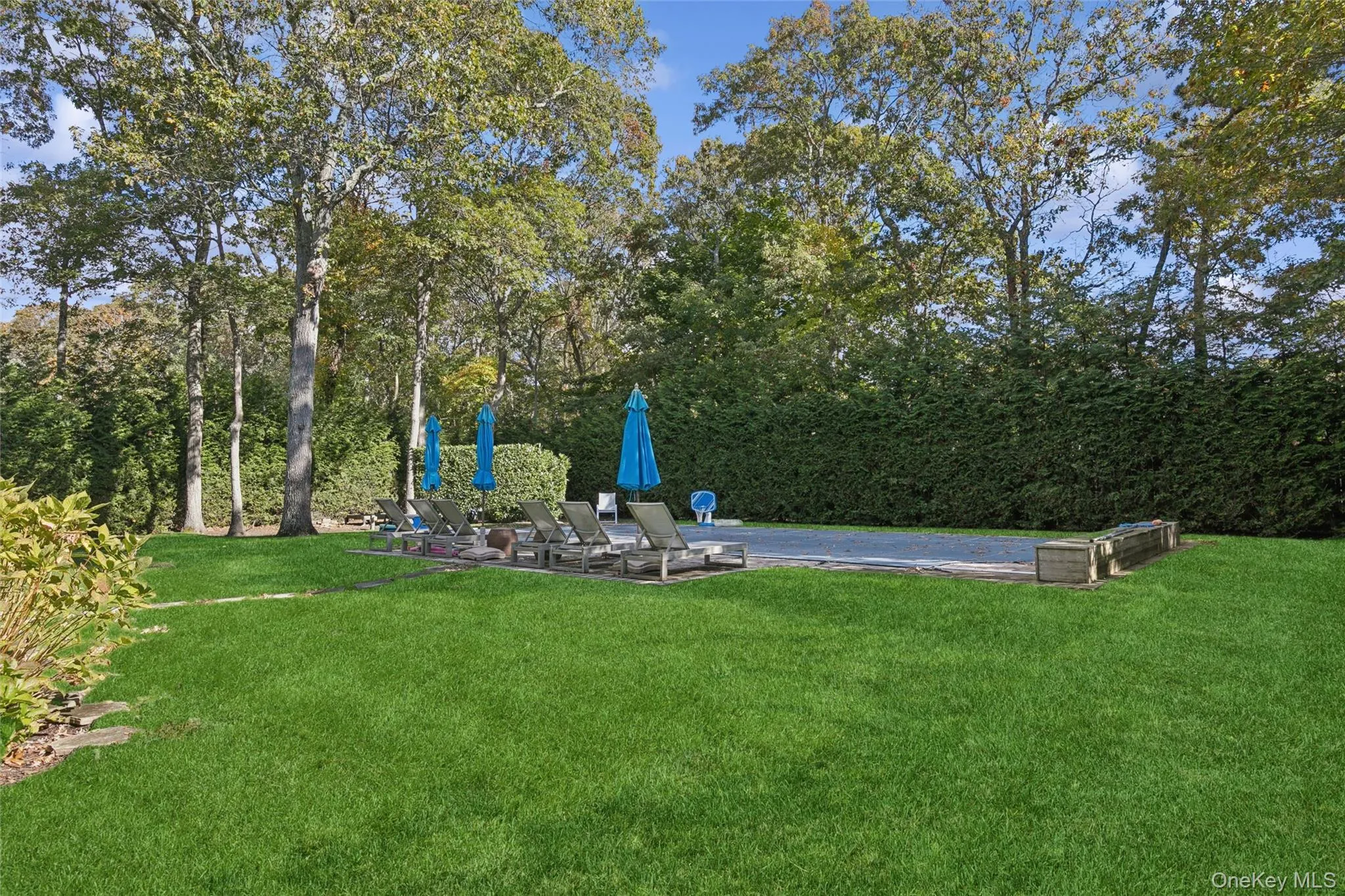 Spacious Backyard Spacious Backyard