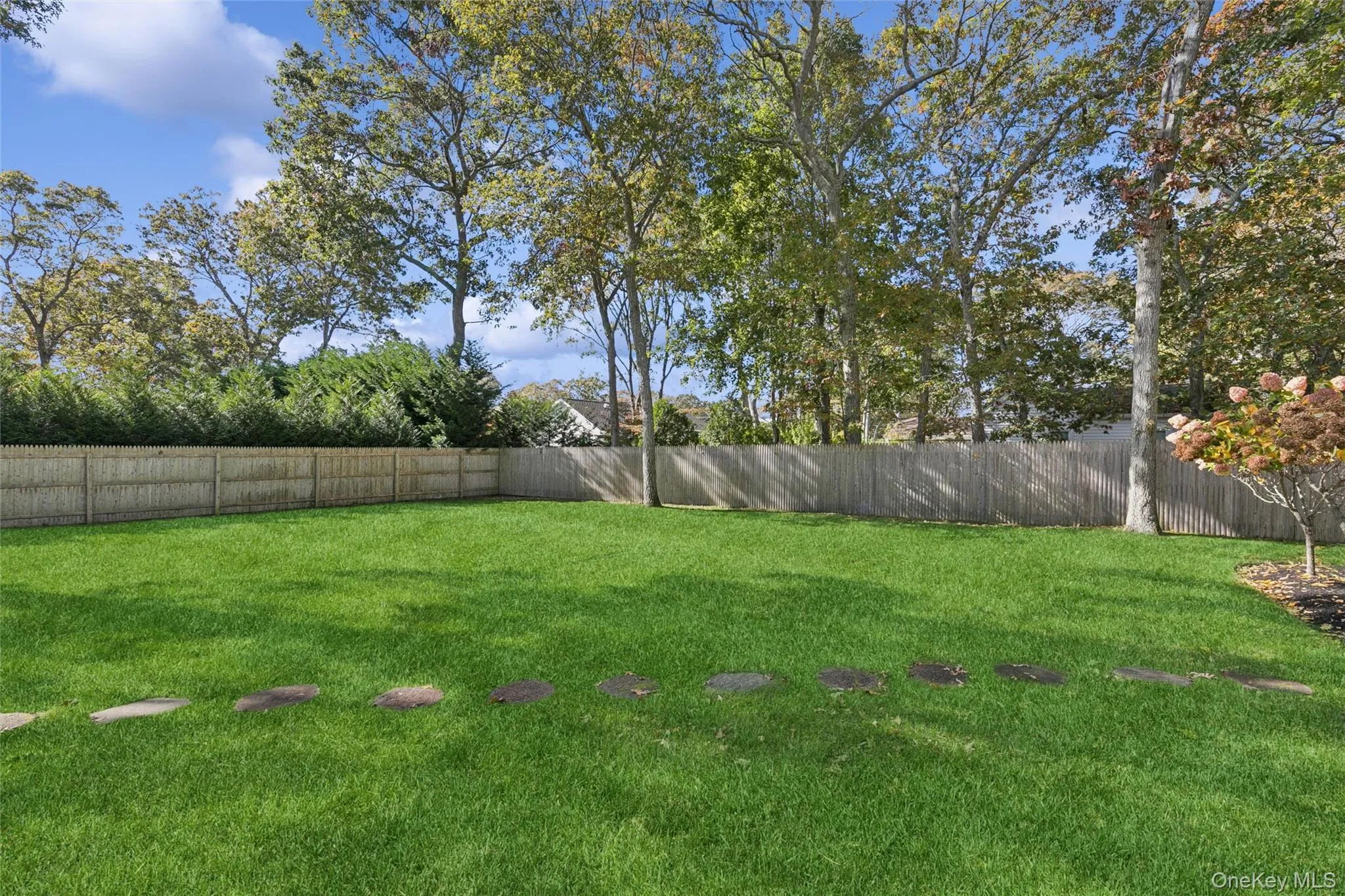 Spacious Front yard Spacious Front yard