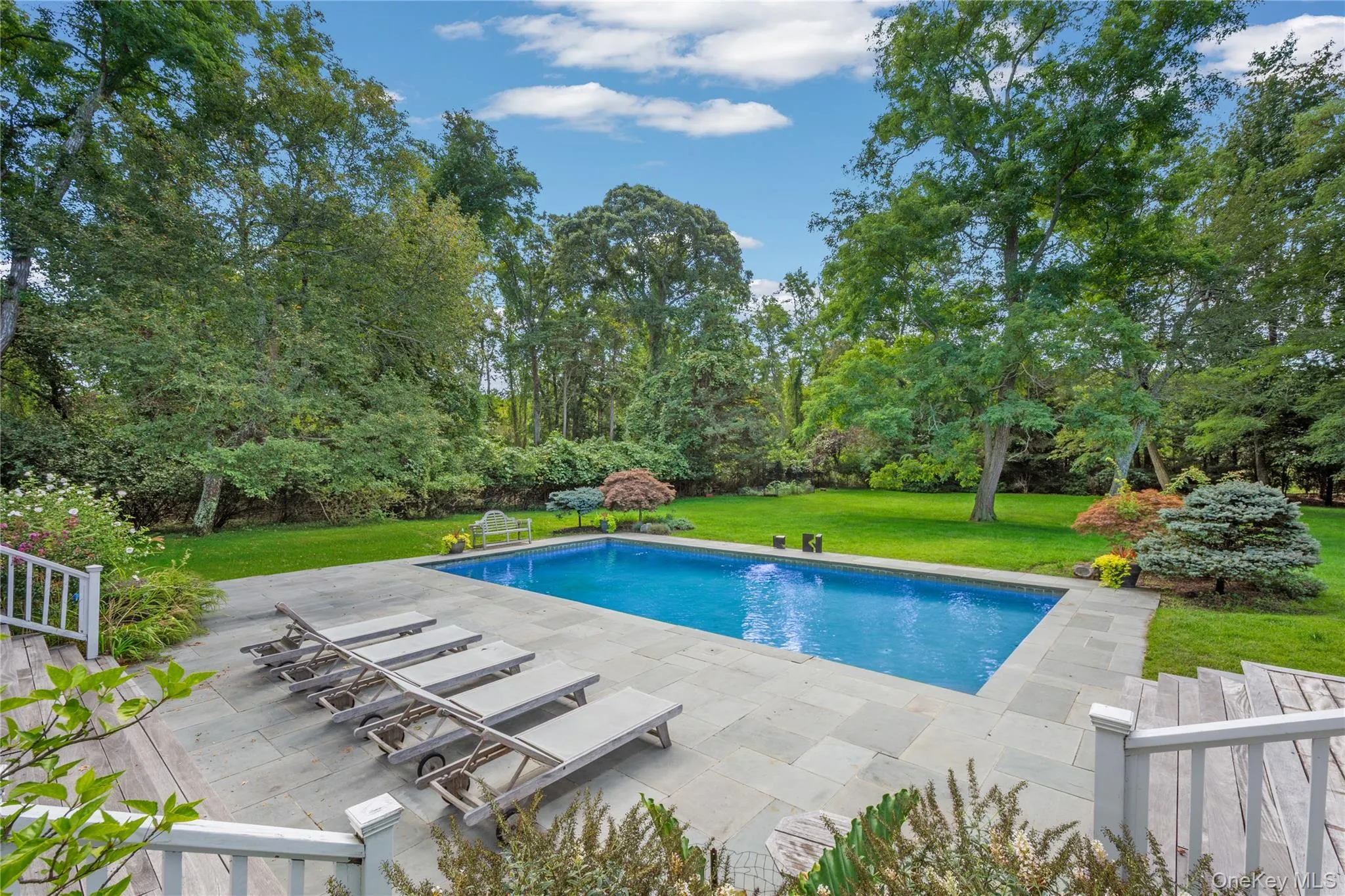 Outdoor pool featuring a lawn, a patio, and view of wooded area Outdoor pool featuring a lawn, a patio, and view of wooded area